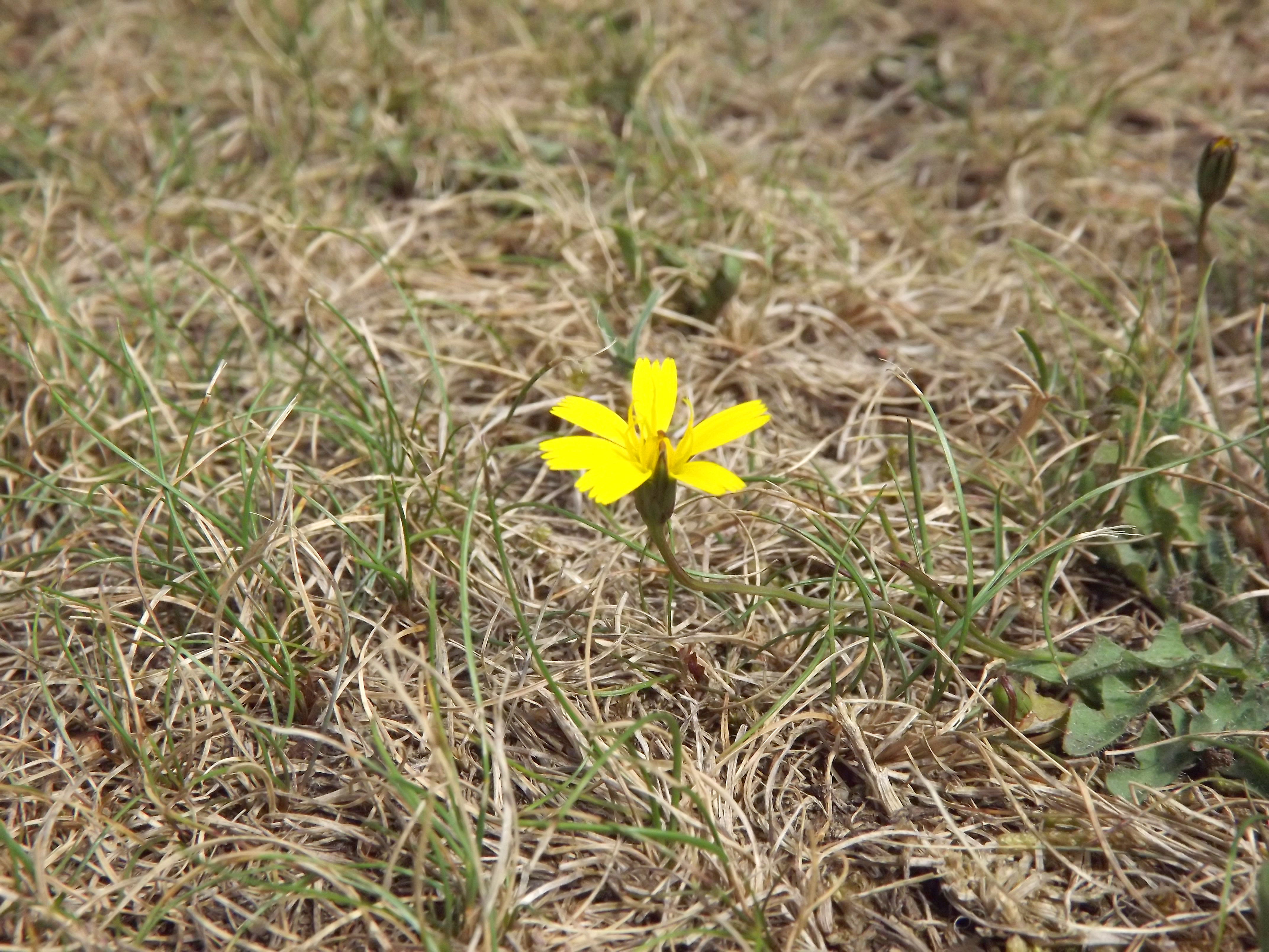 Fujifilm Finepix S3200 review sample image