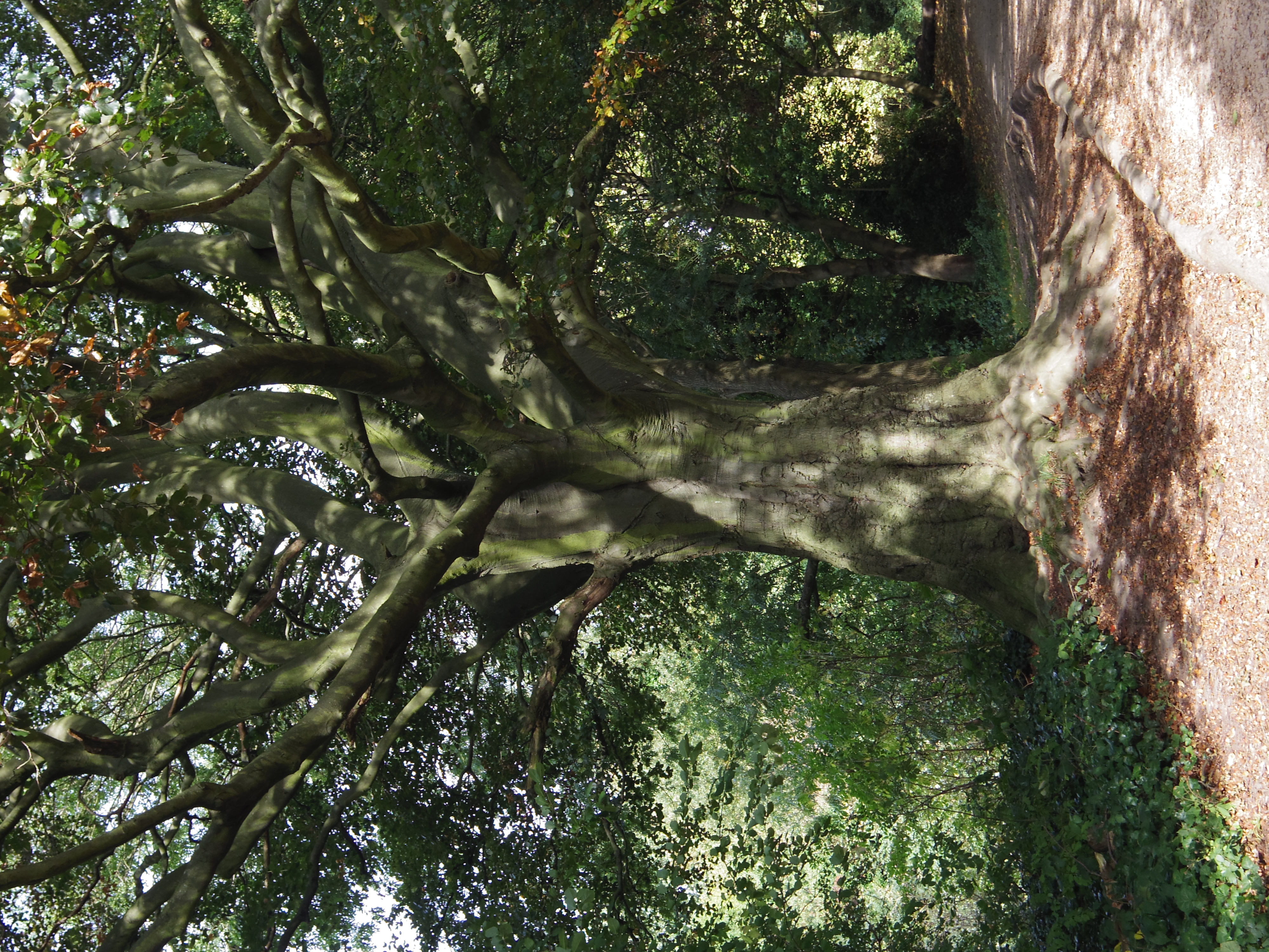 Pentax Q review sample image