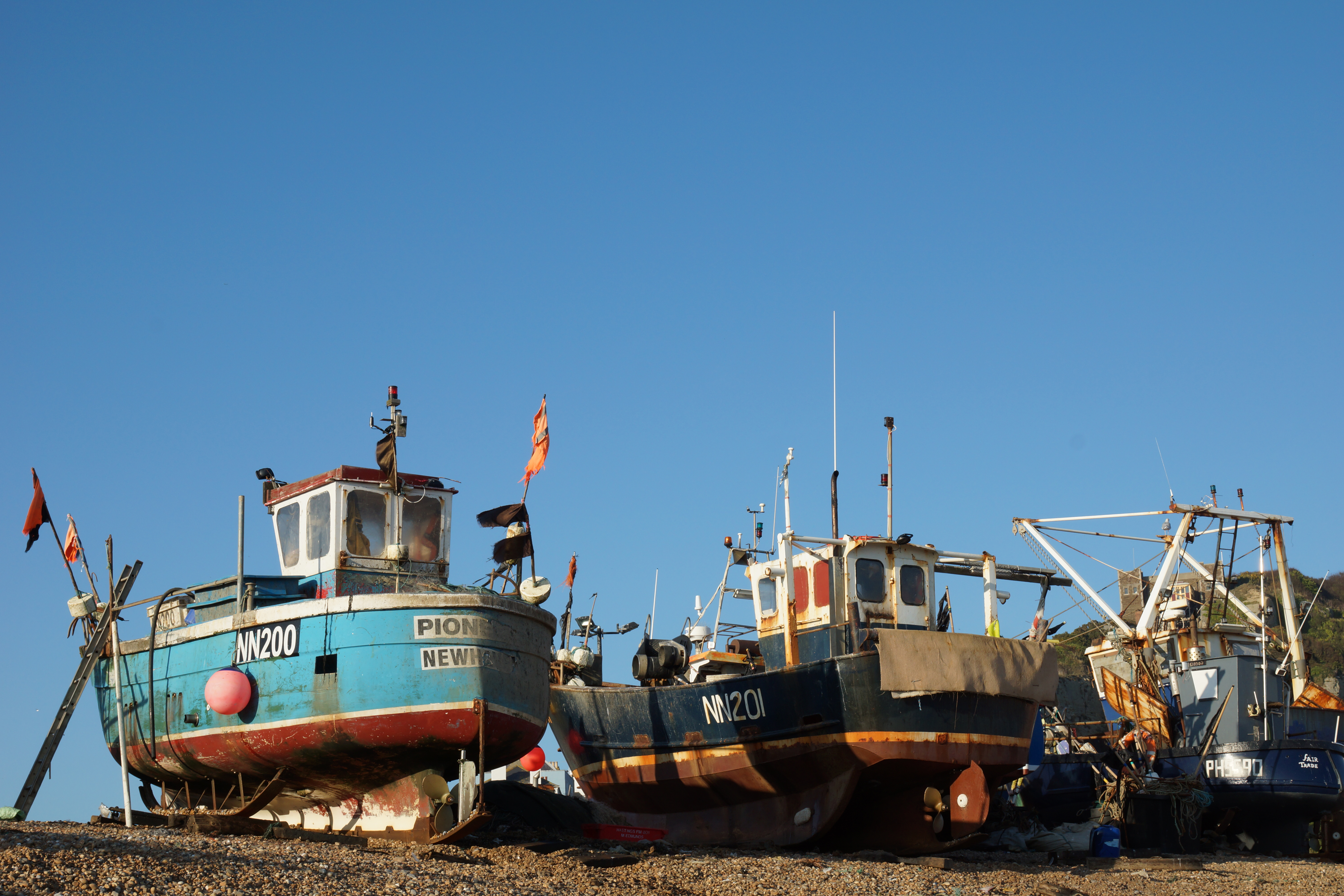 Sony Alpha review sample image