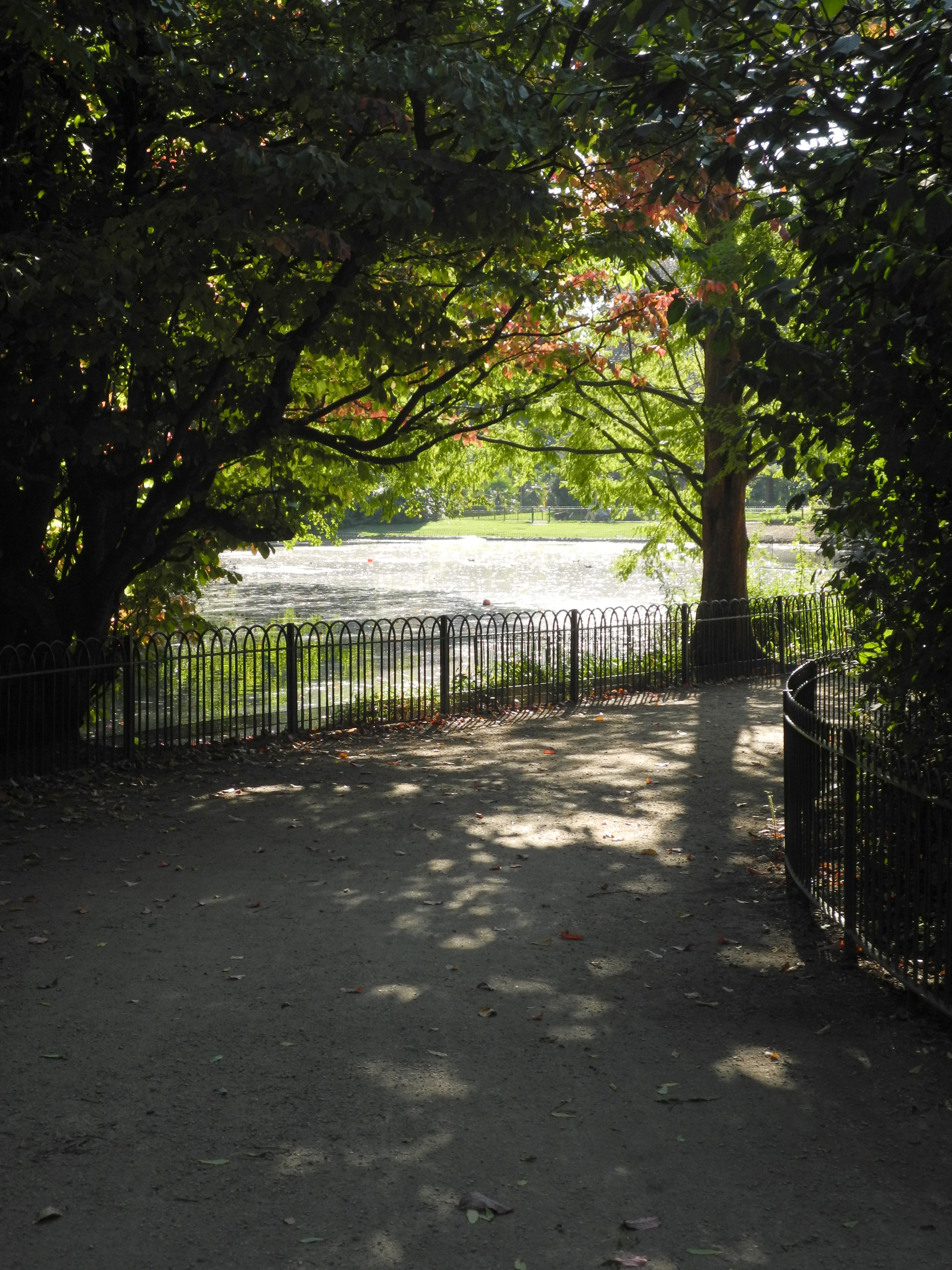 Nikon COOLPIX P7100 review sample image