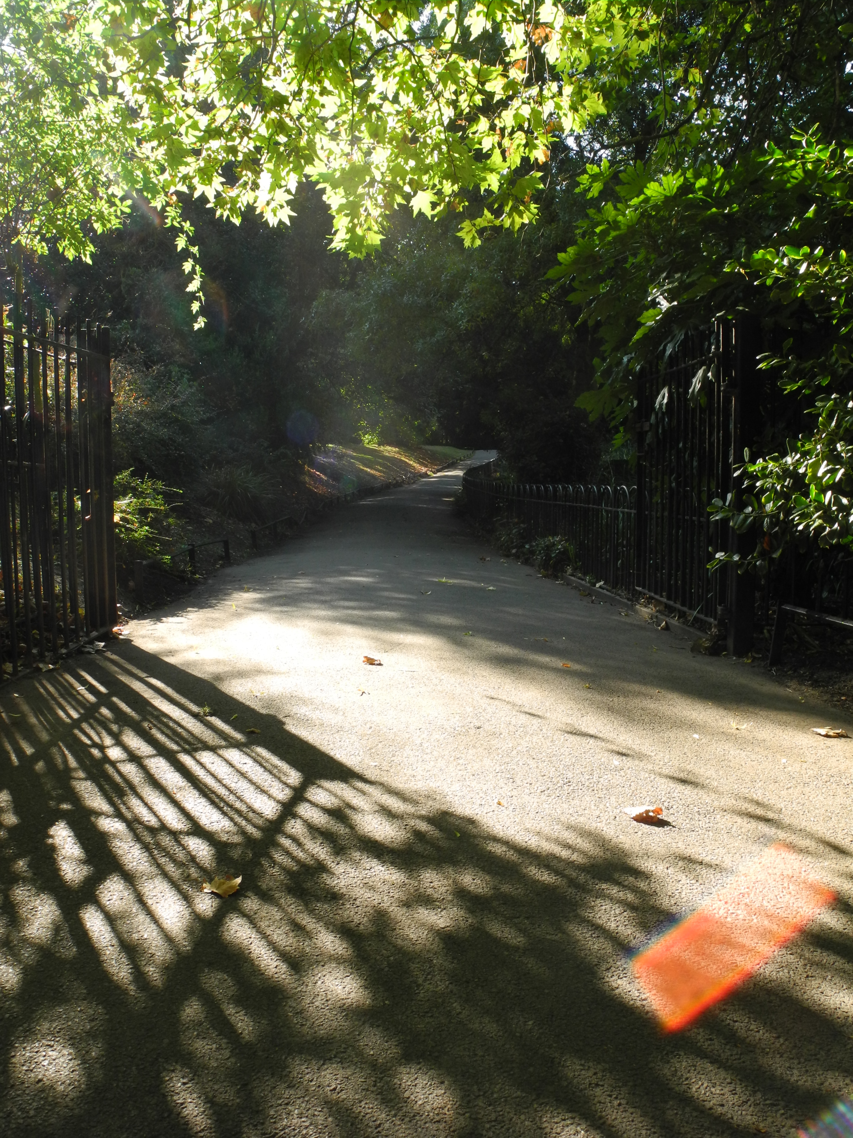 Nikon COOLPIX P7100 review sample image