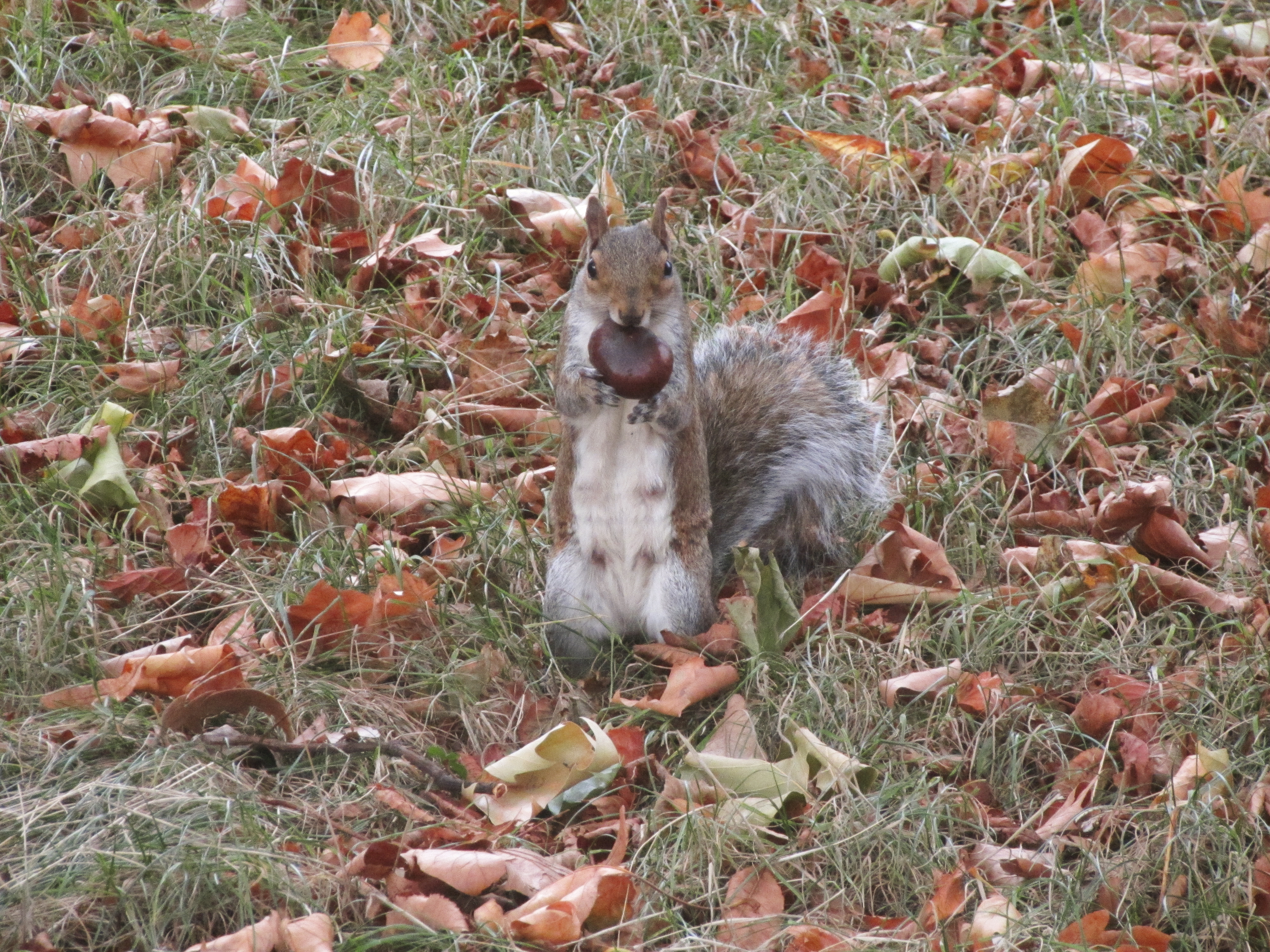 IMG_0096_1.jpg