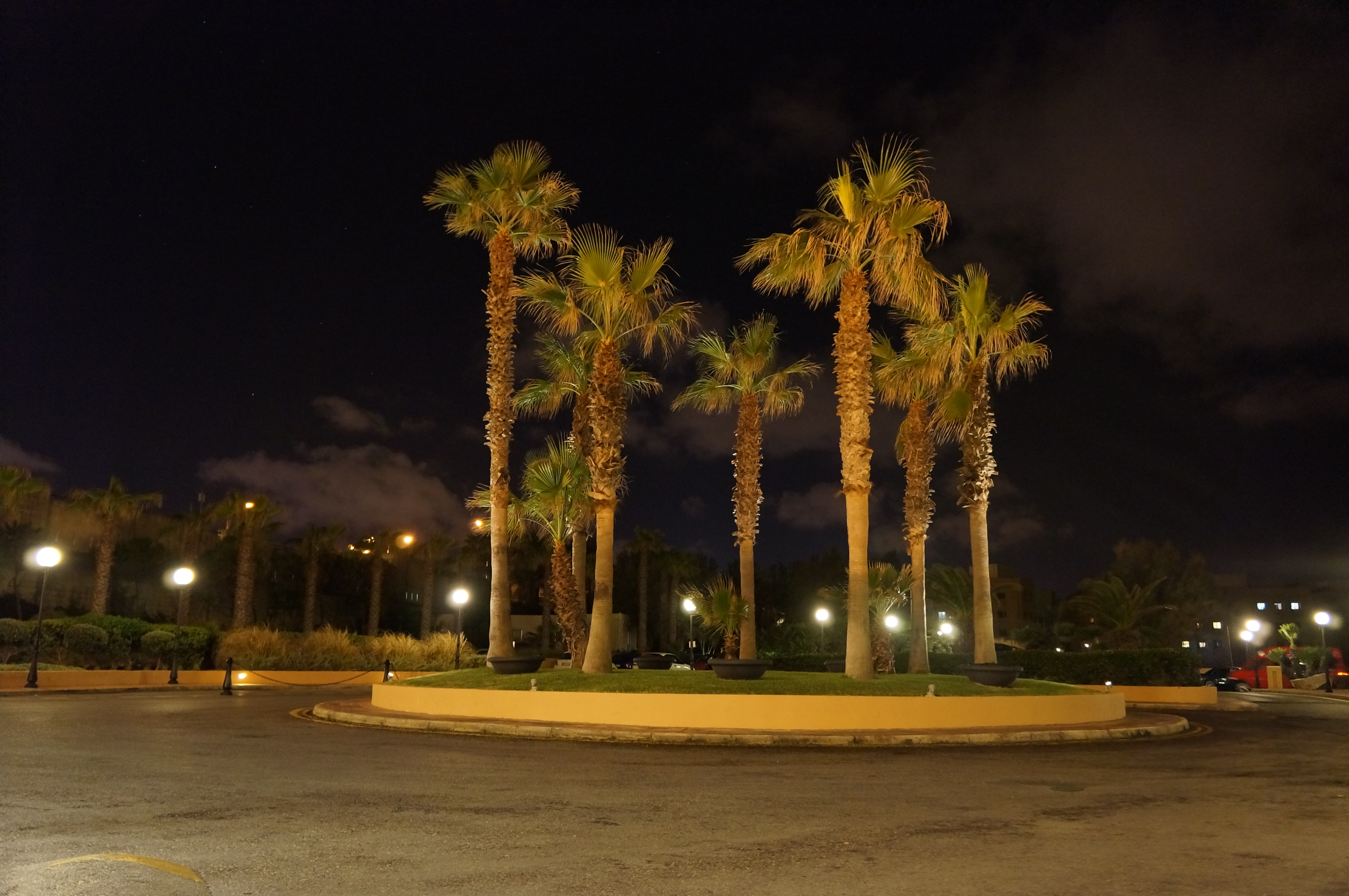 Sony NEX-5N review sample image