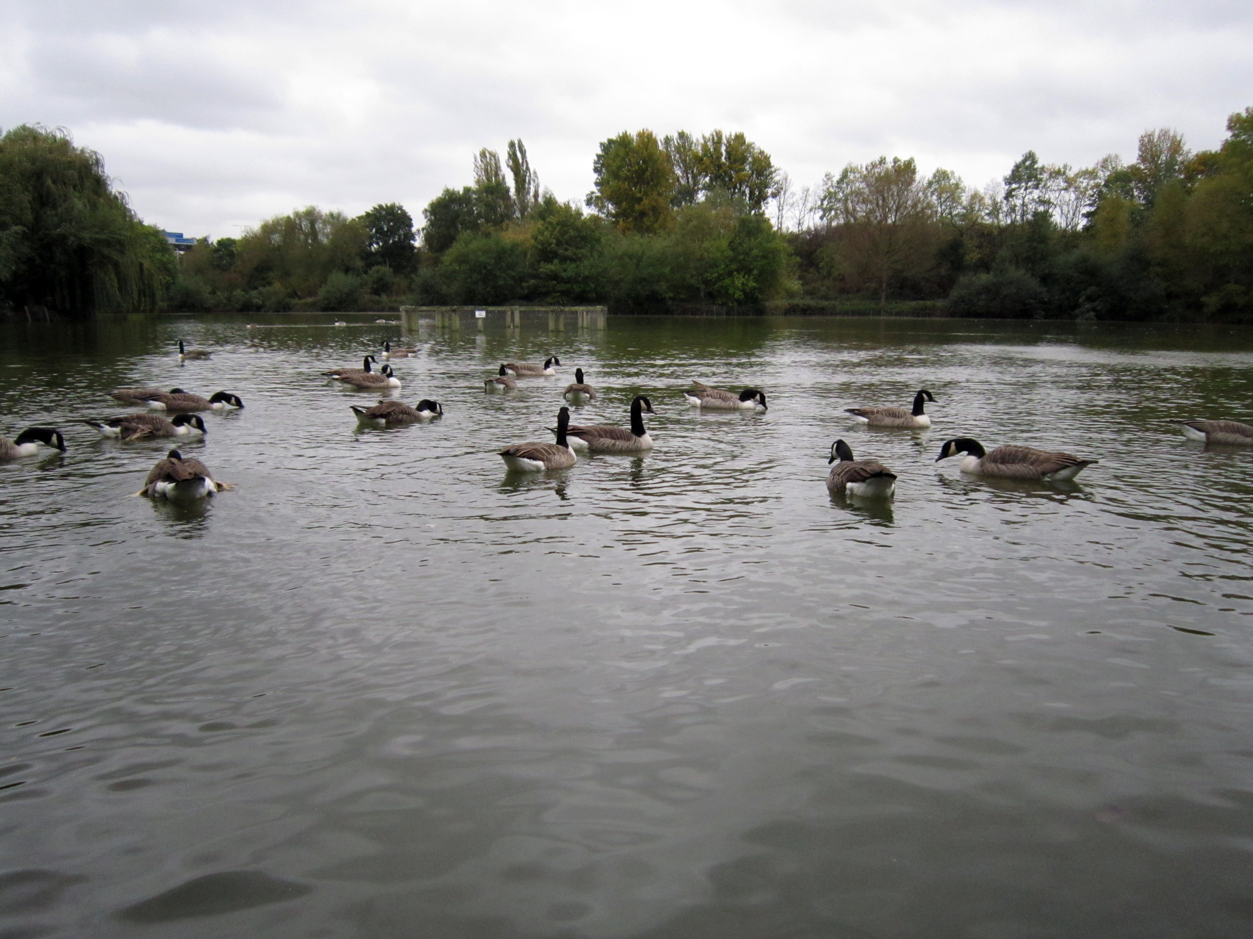 Canon PowerShot A3200 IS Review Sample Image