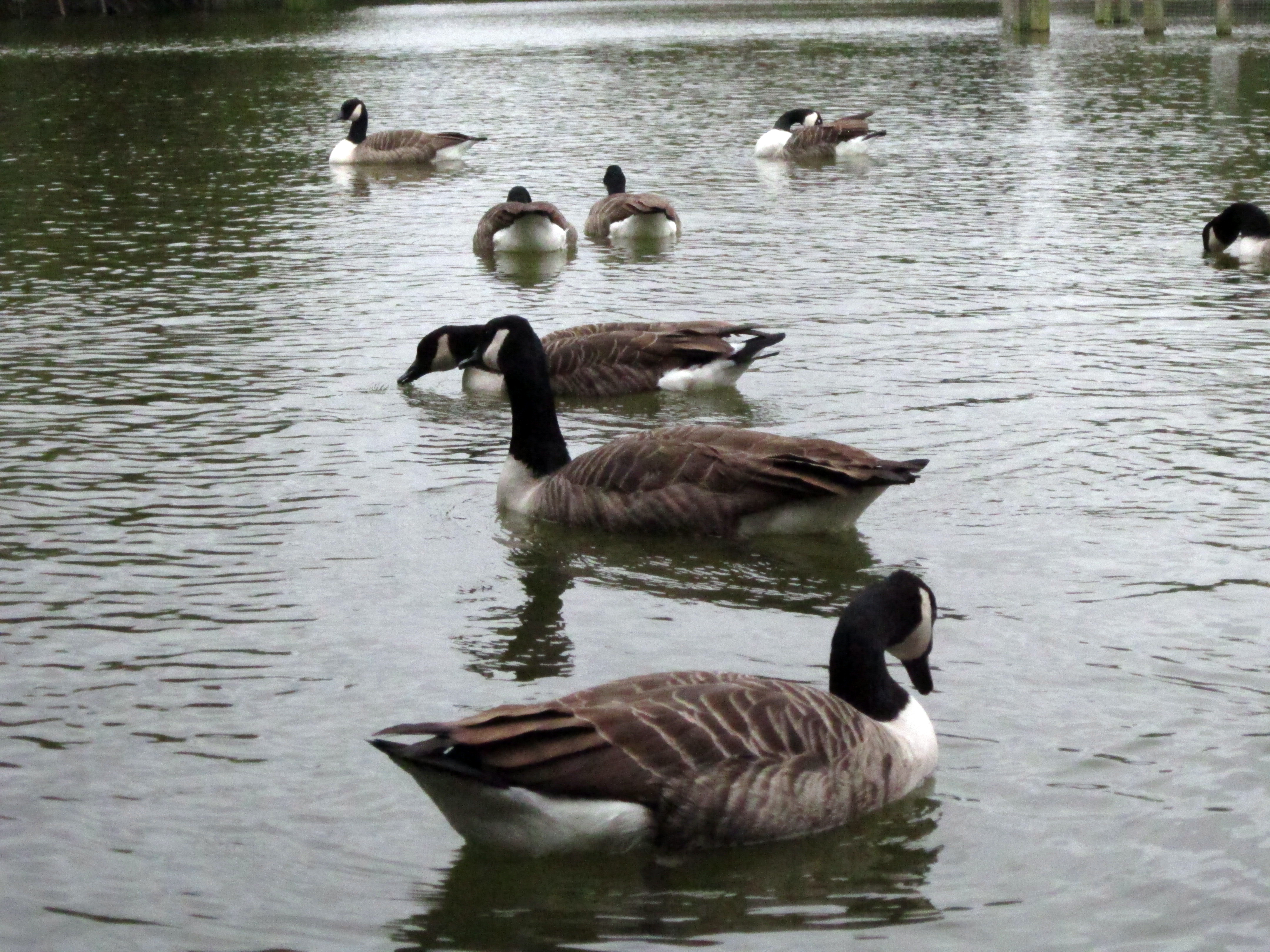 Canon PowerShot A3200 IS Review Sample Image