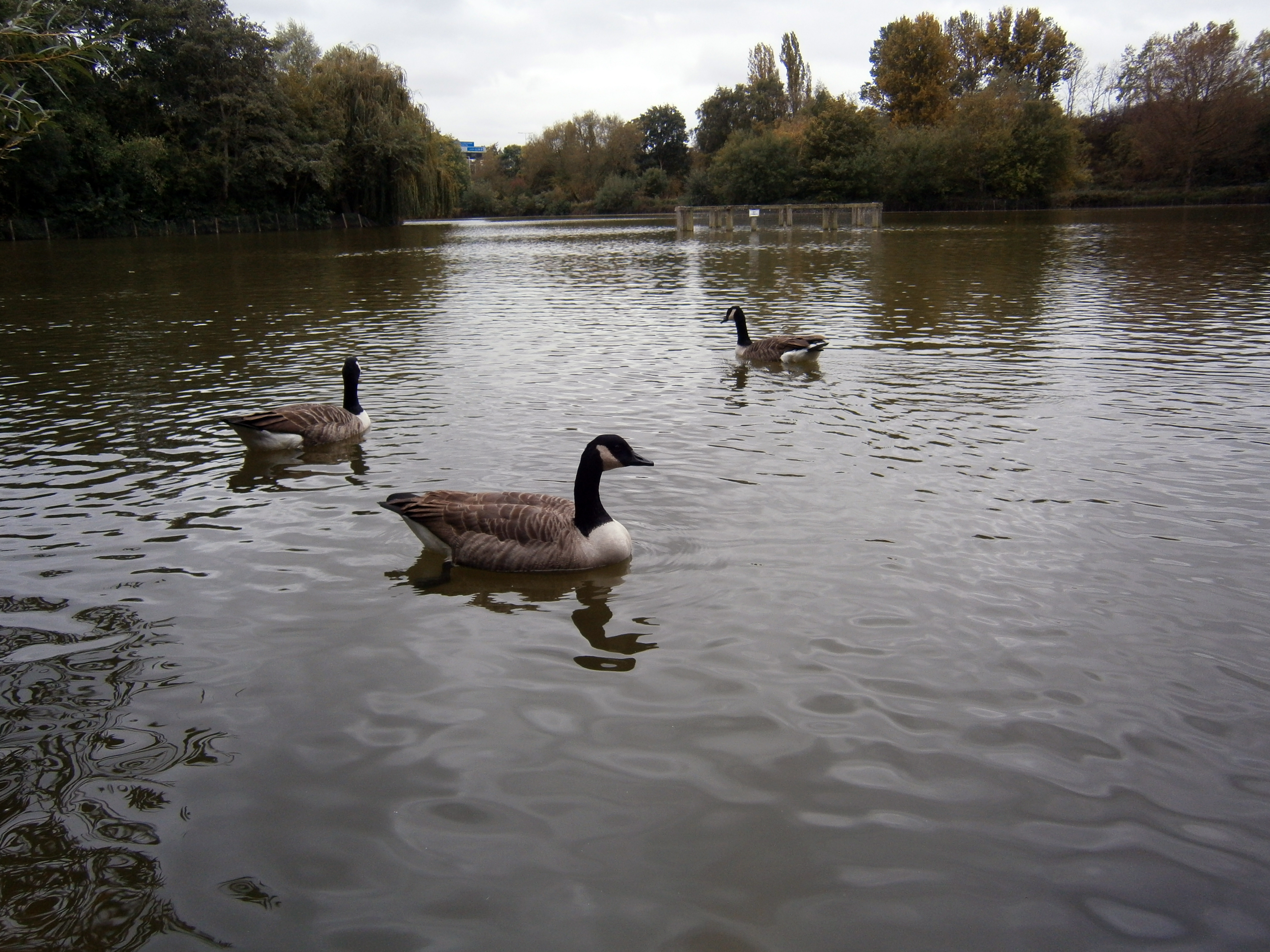 Olympus VG-130 review sample image