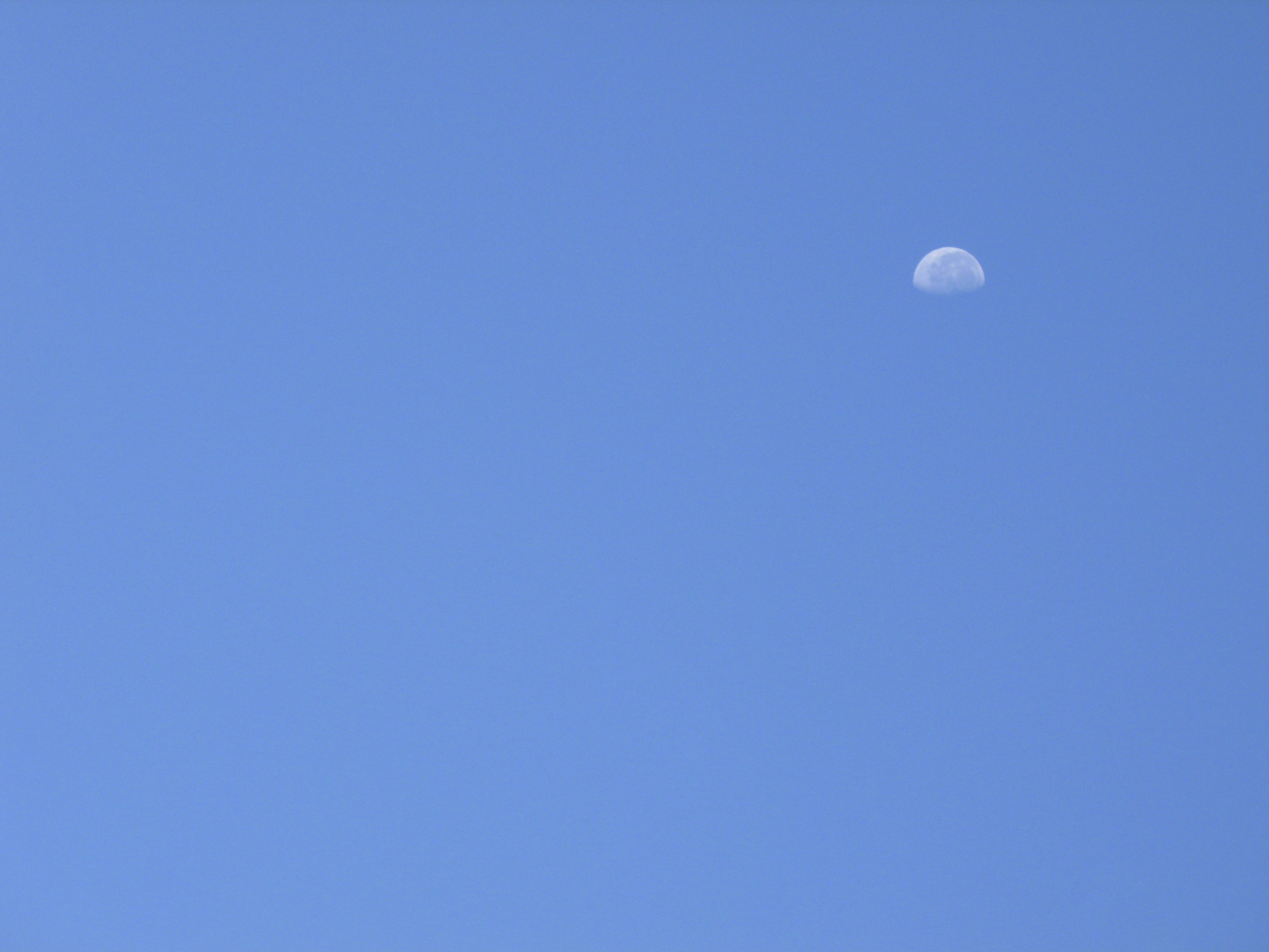 P1000007_1.jpg