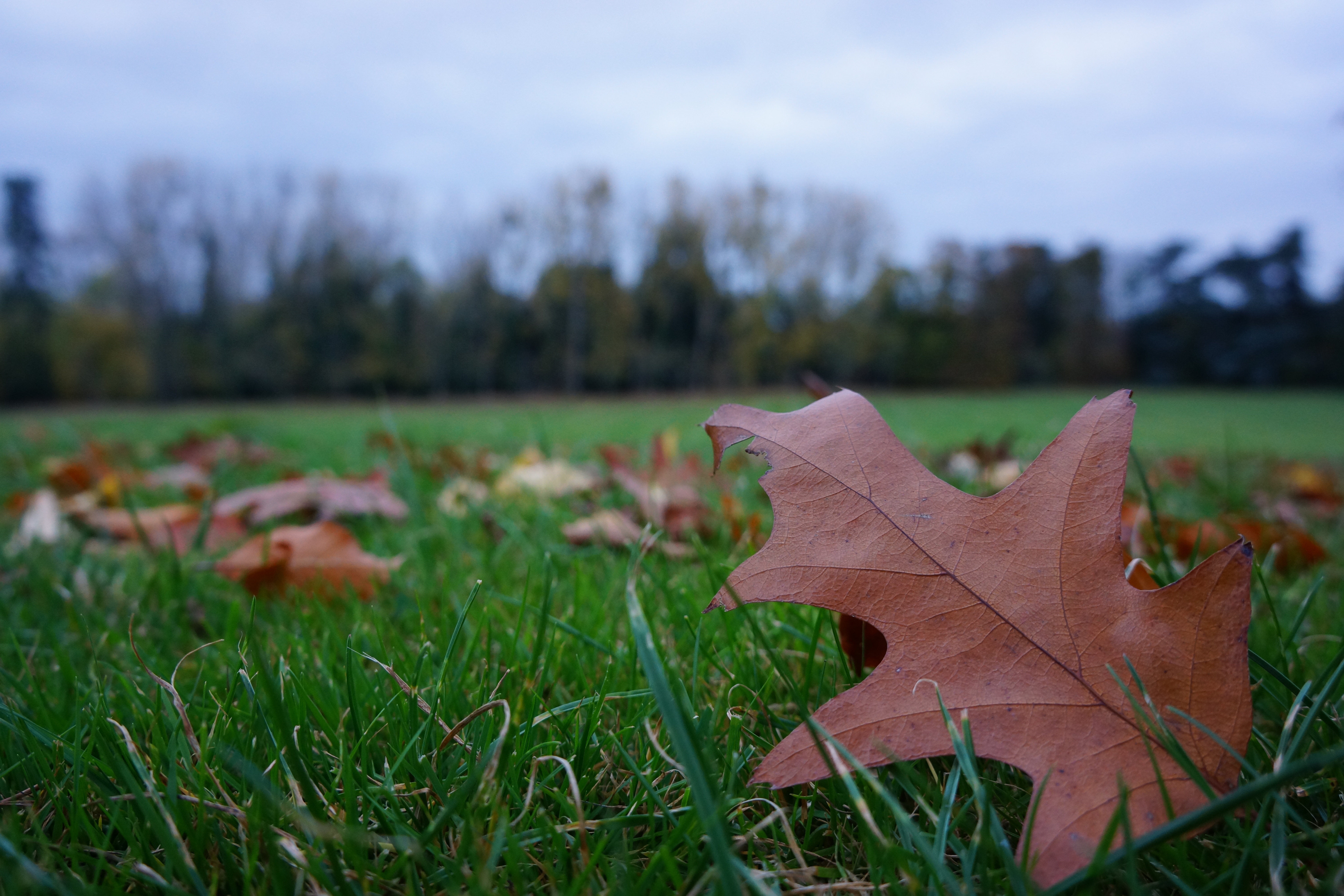Sony NEX-7 review sample image