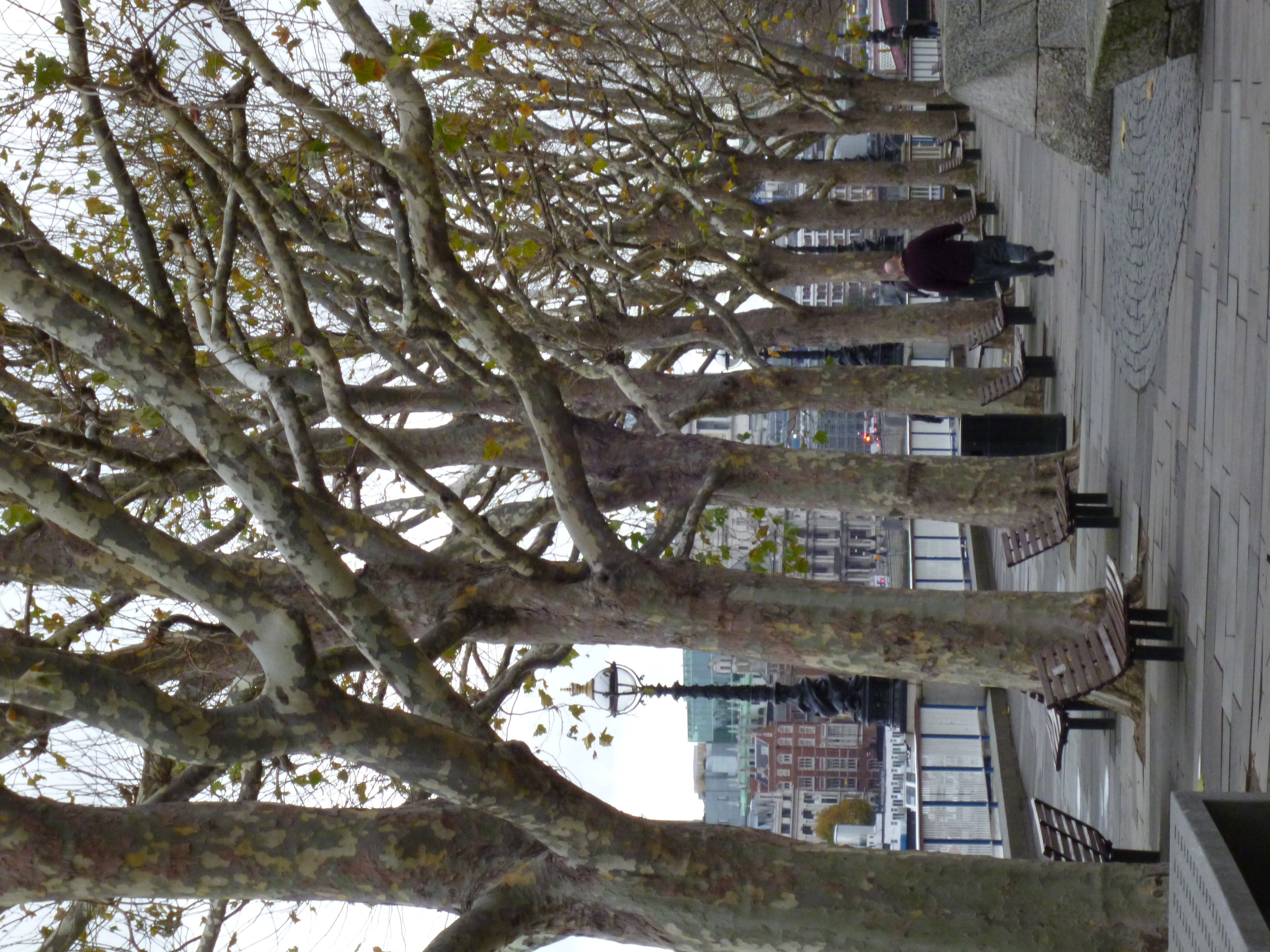 Panasonic LUMIX FX90 review sample image