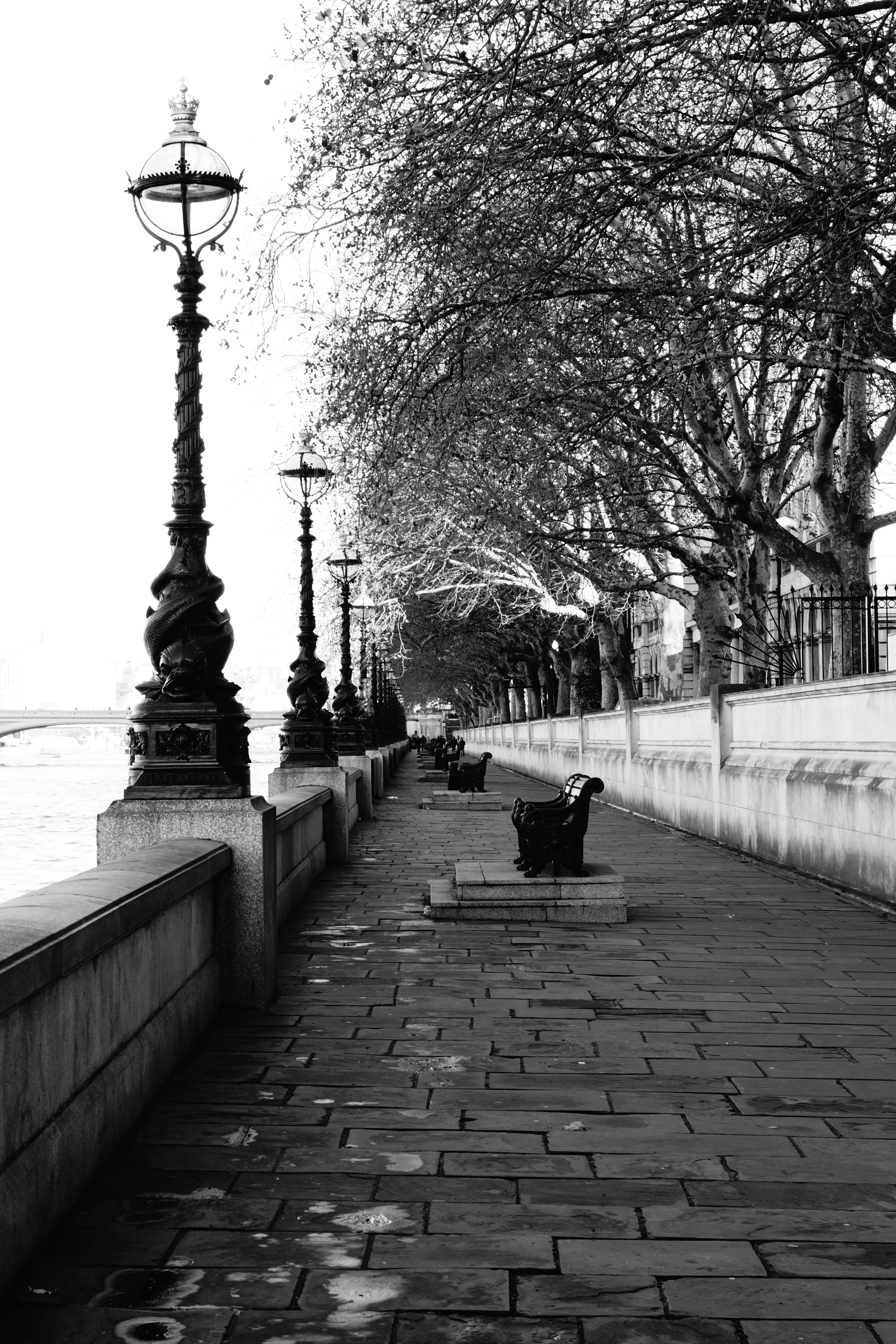 Sony Alpha 65 review sample images