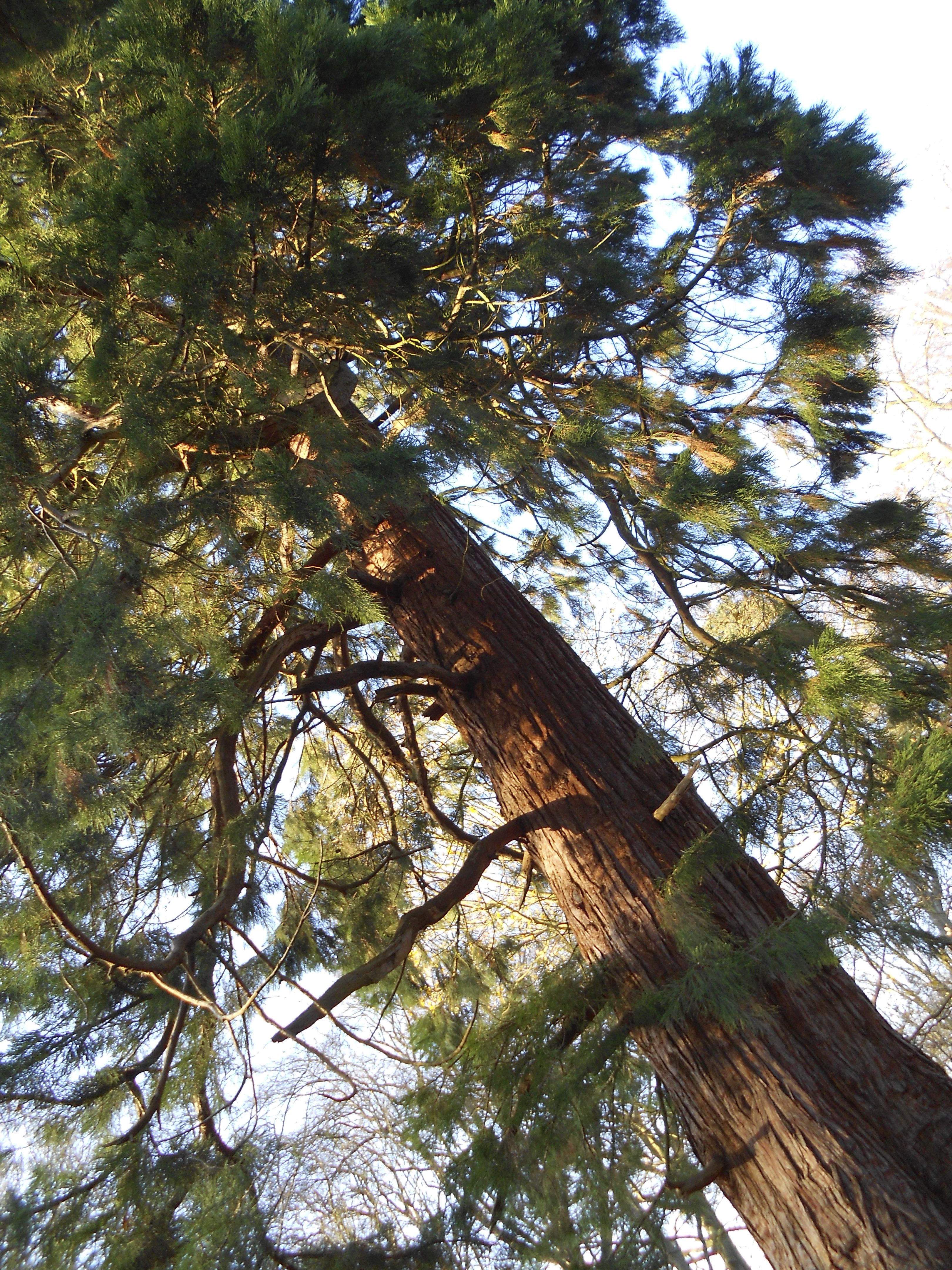 Nikon S4150 review sample image