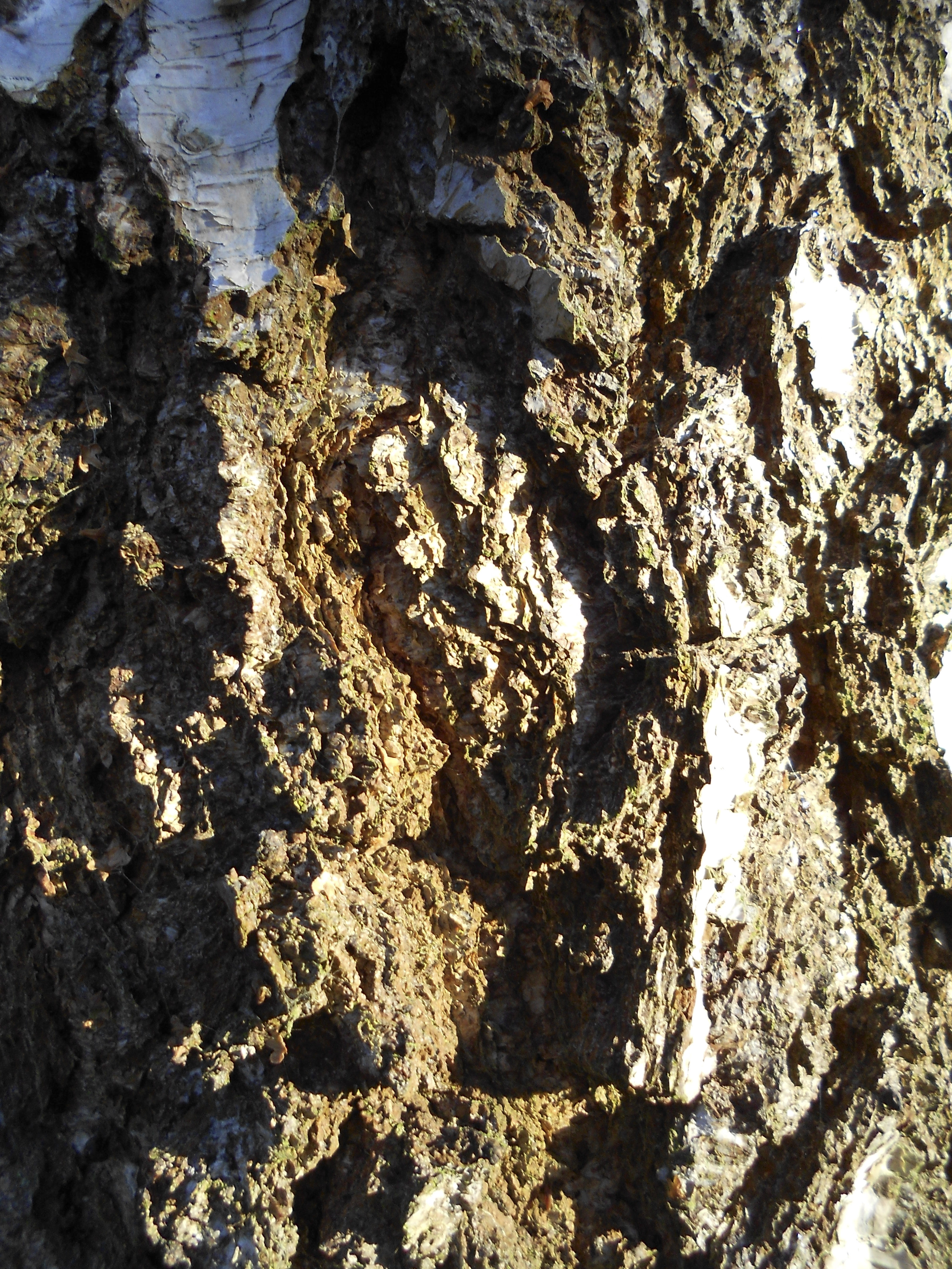 Nikon S4150 review sample image