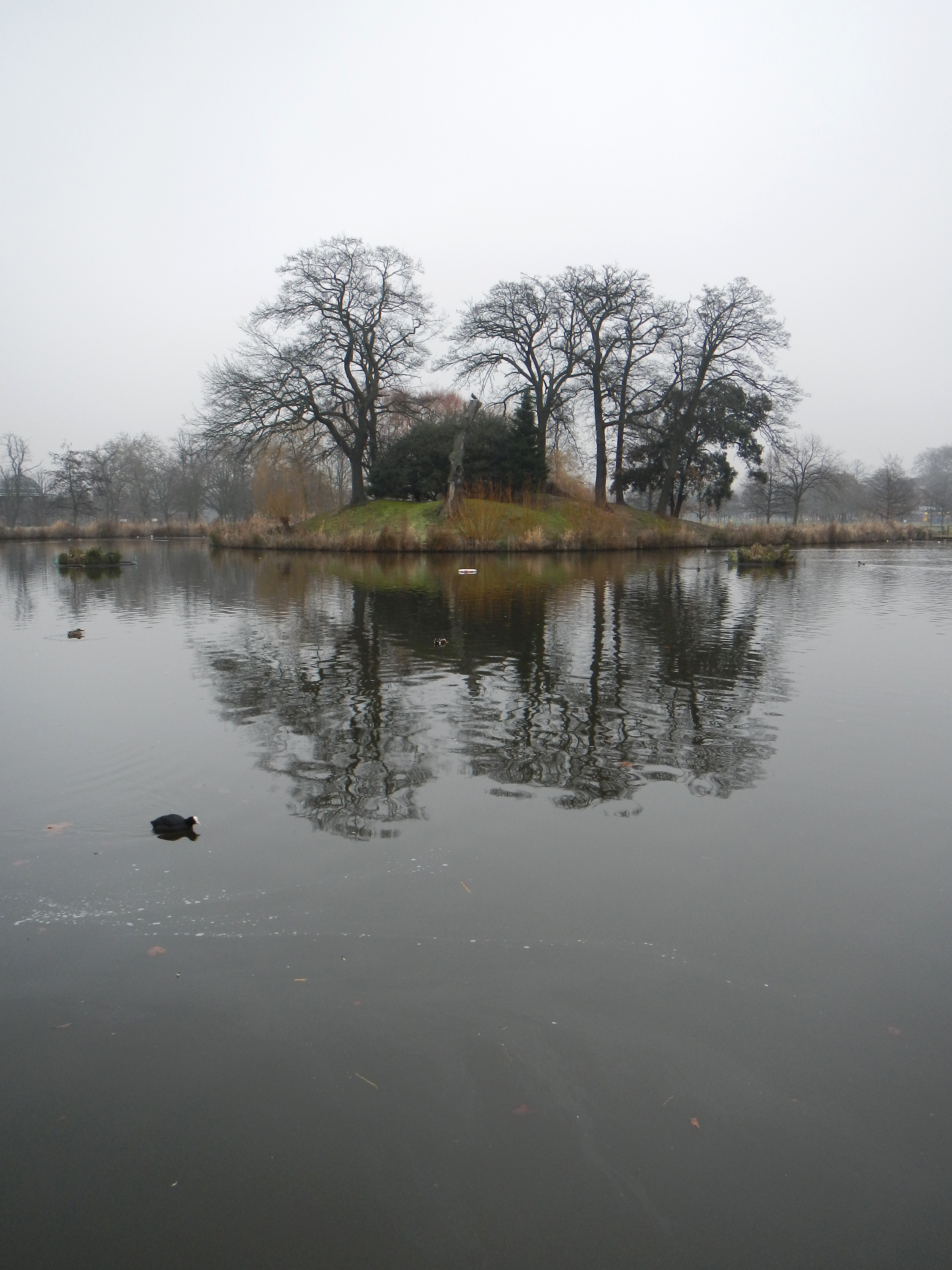 Nikon COOLPIX S100 review sample image gallery