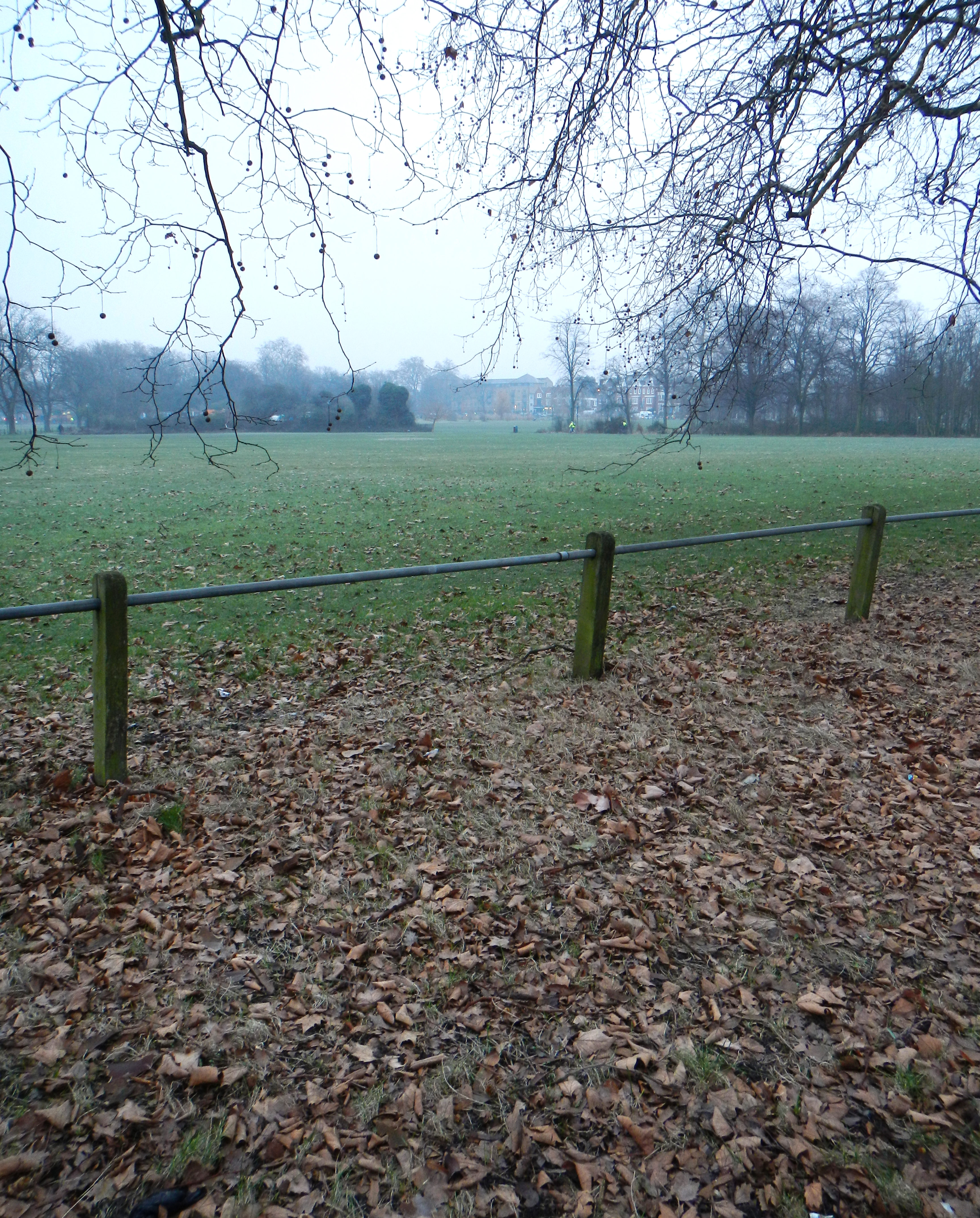 Nikon COOLPIX S100 review sample image gallery