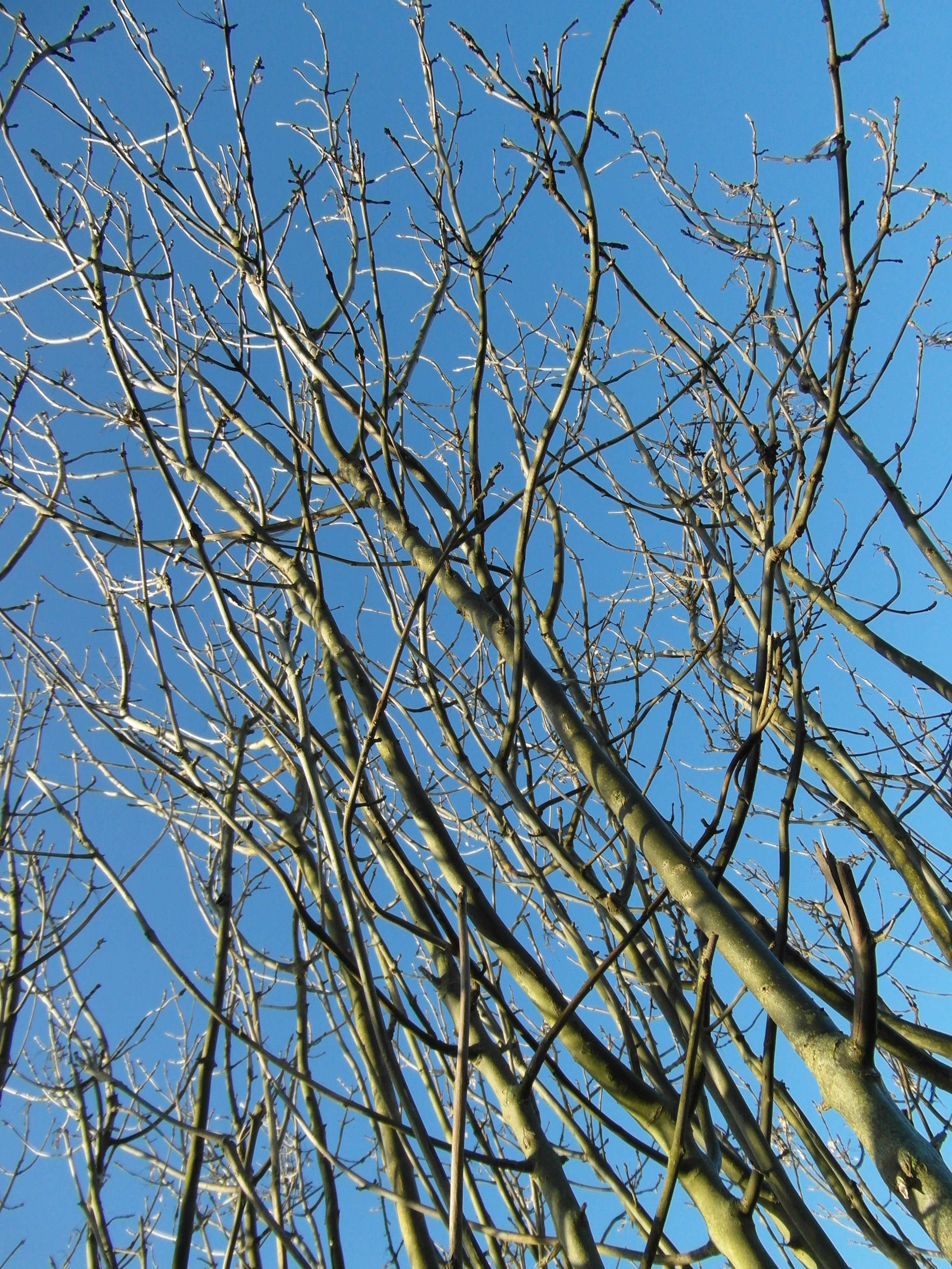 Samsung WB750 review sample image