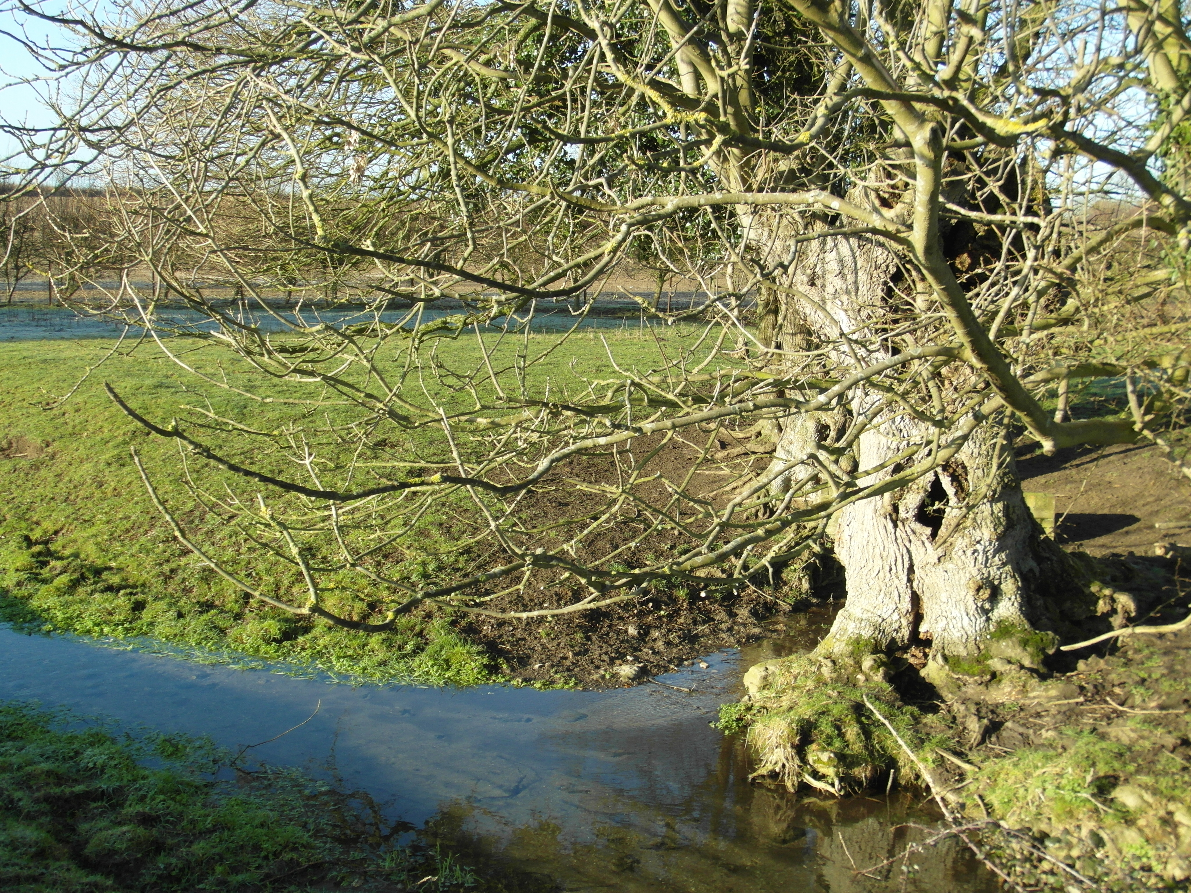 Samsung WB750 review sample image