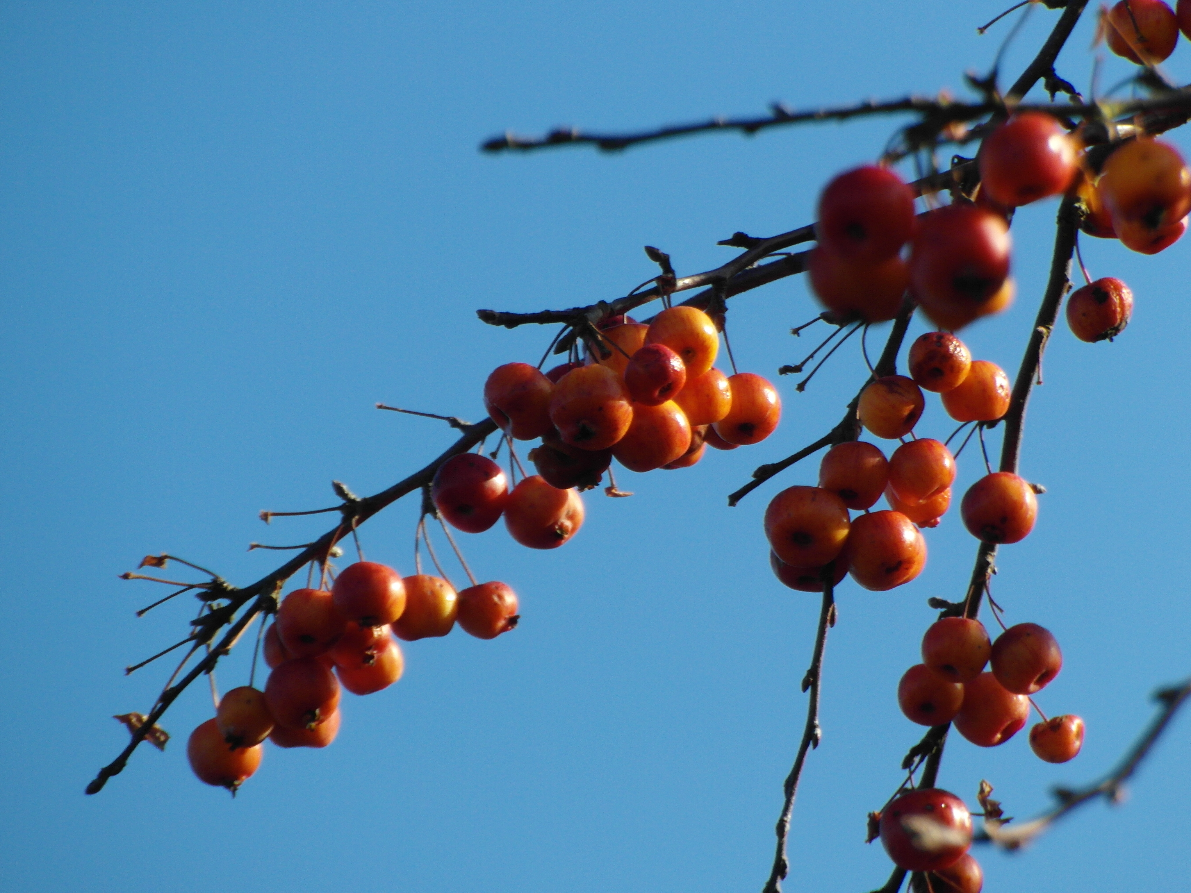 Samsung WB750 review sample image