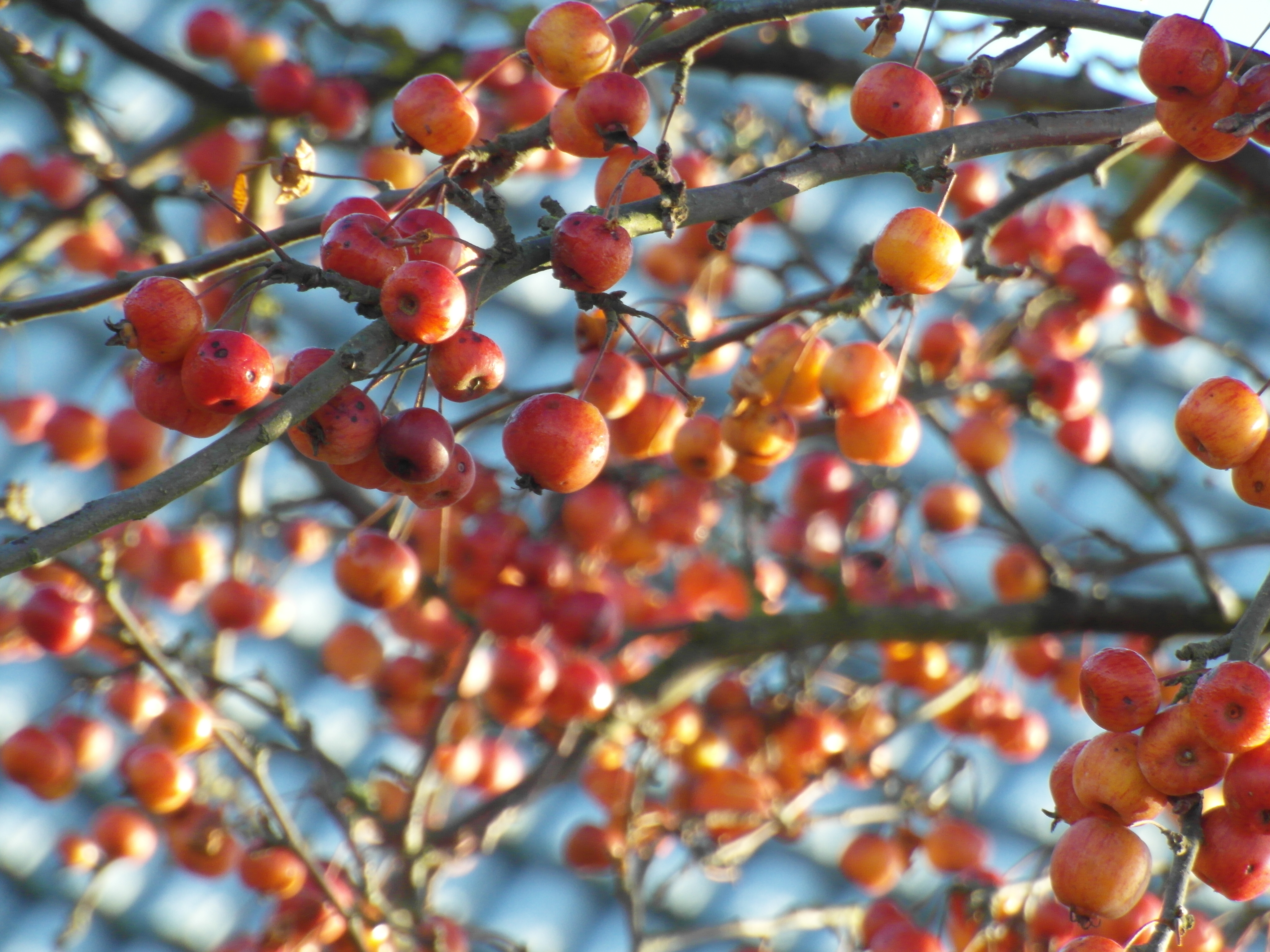 Samsung WB750 review sample image