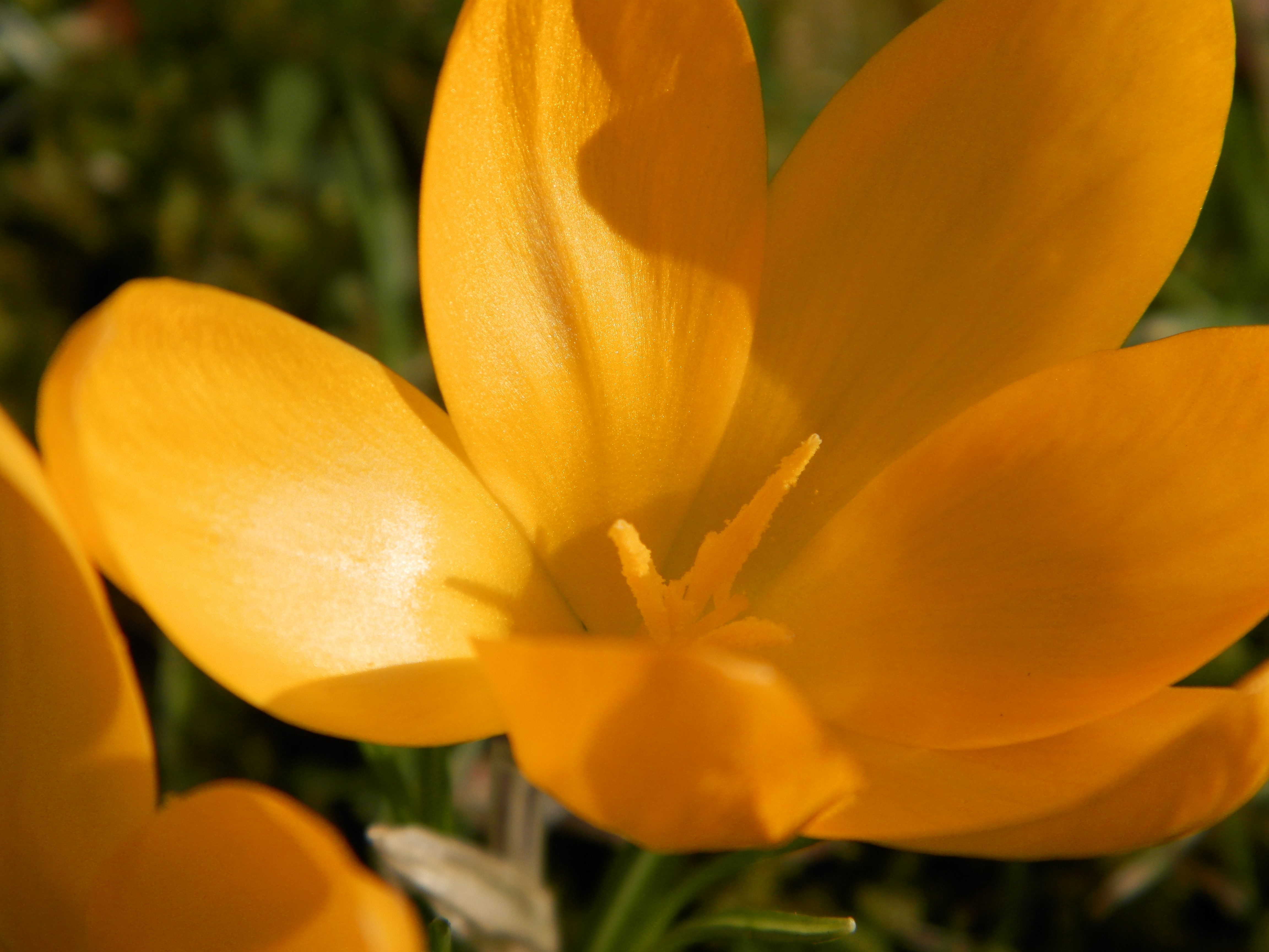 DH-Oly-620-Test-00009.jpg