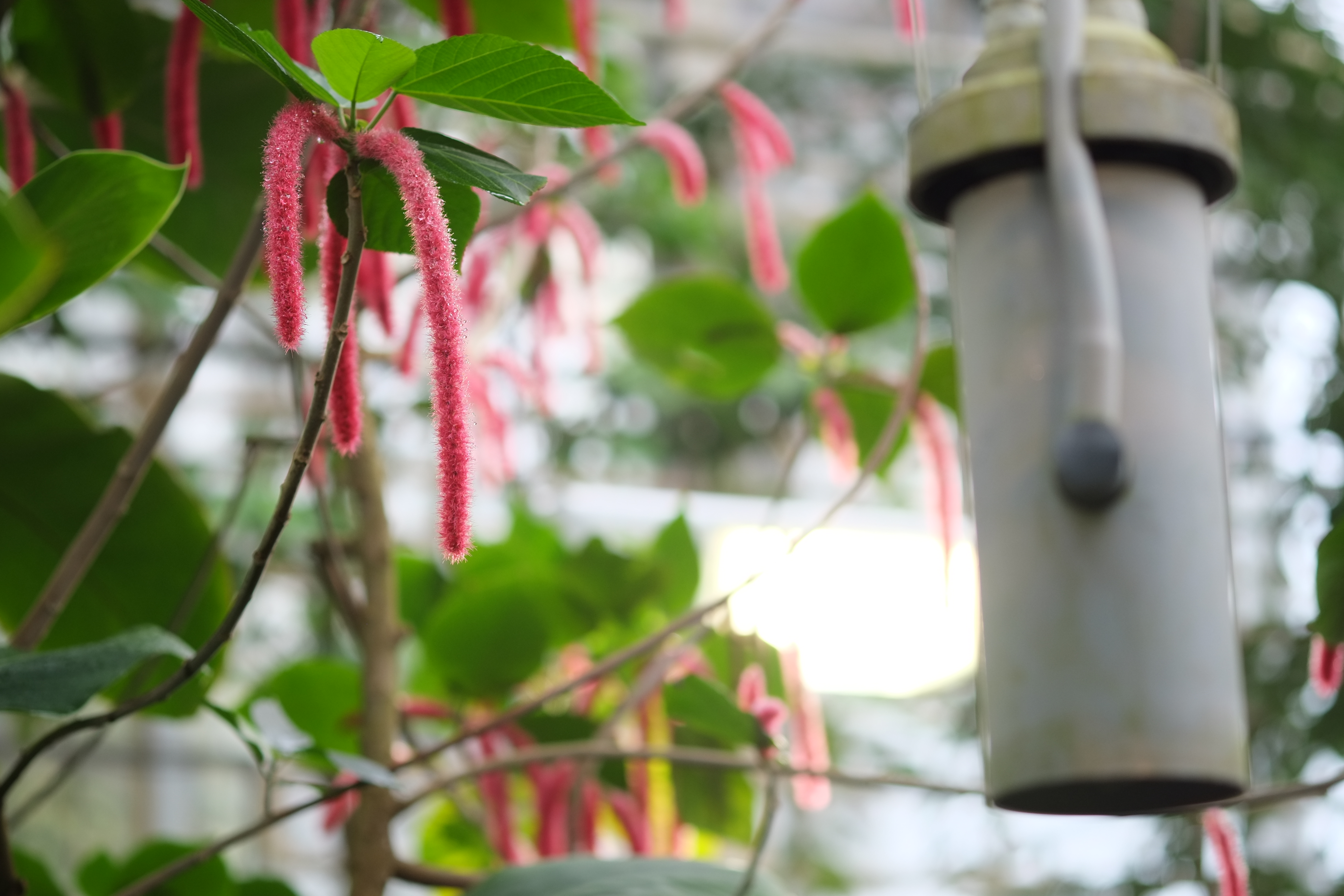 Fujifilm X-Pro1 review sample image