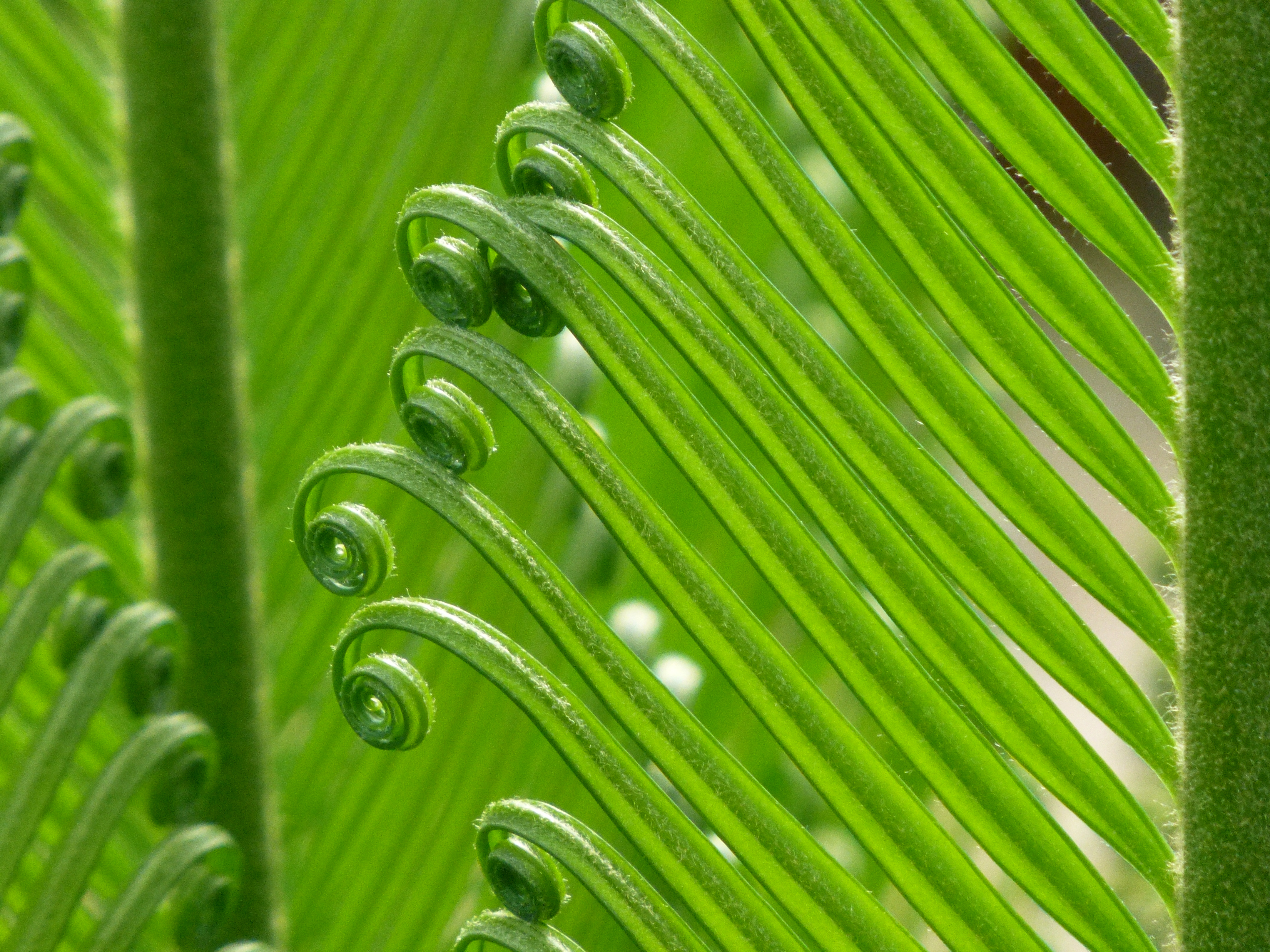 Panasonic Lumix TZ30 review sample image