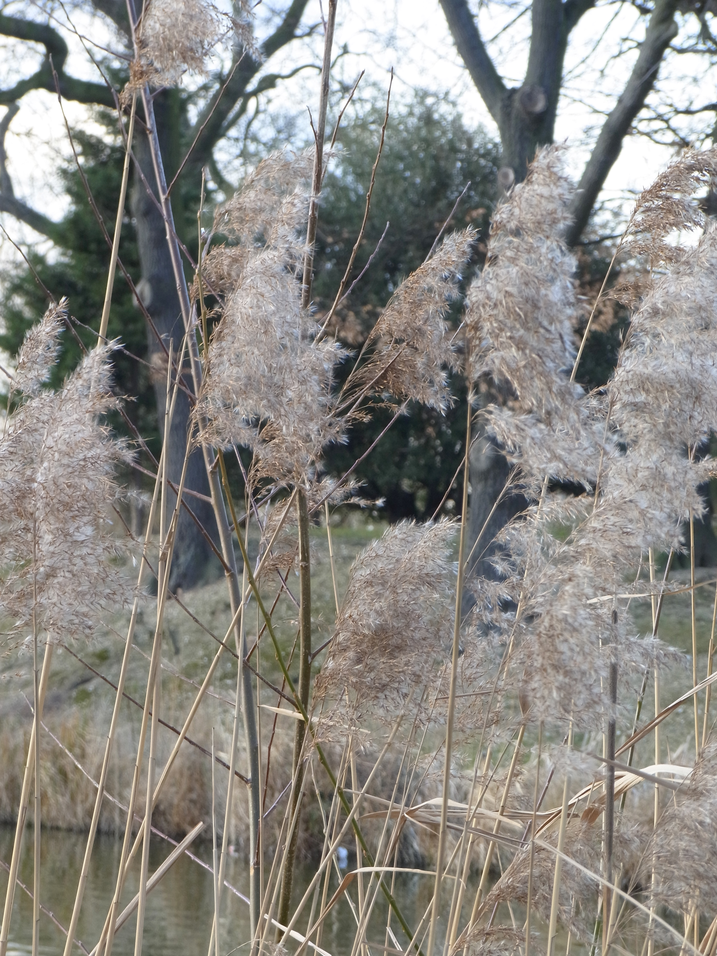 Ricoh CX6 review sample image gallery