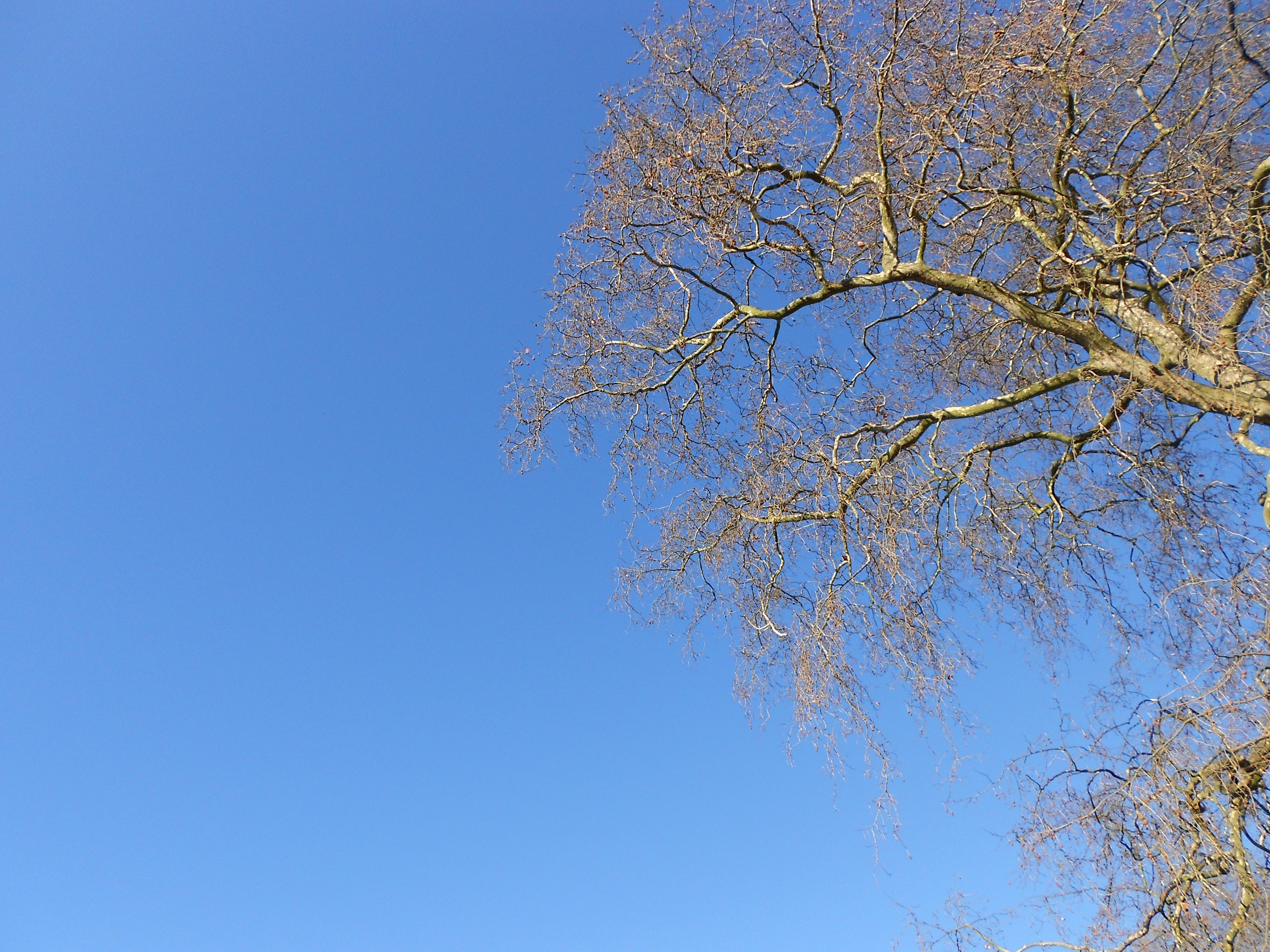 Nikon COOLPIX S2600 review sample image gallery