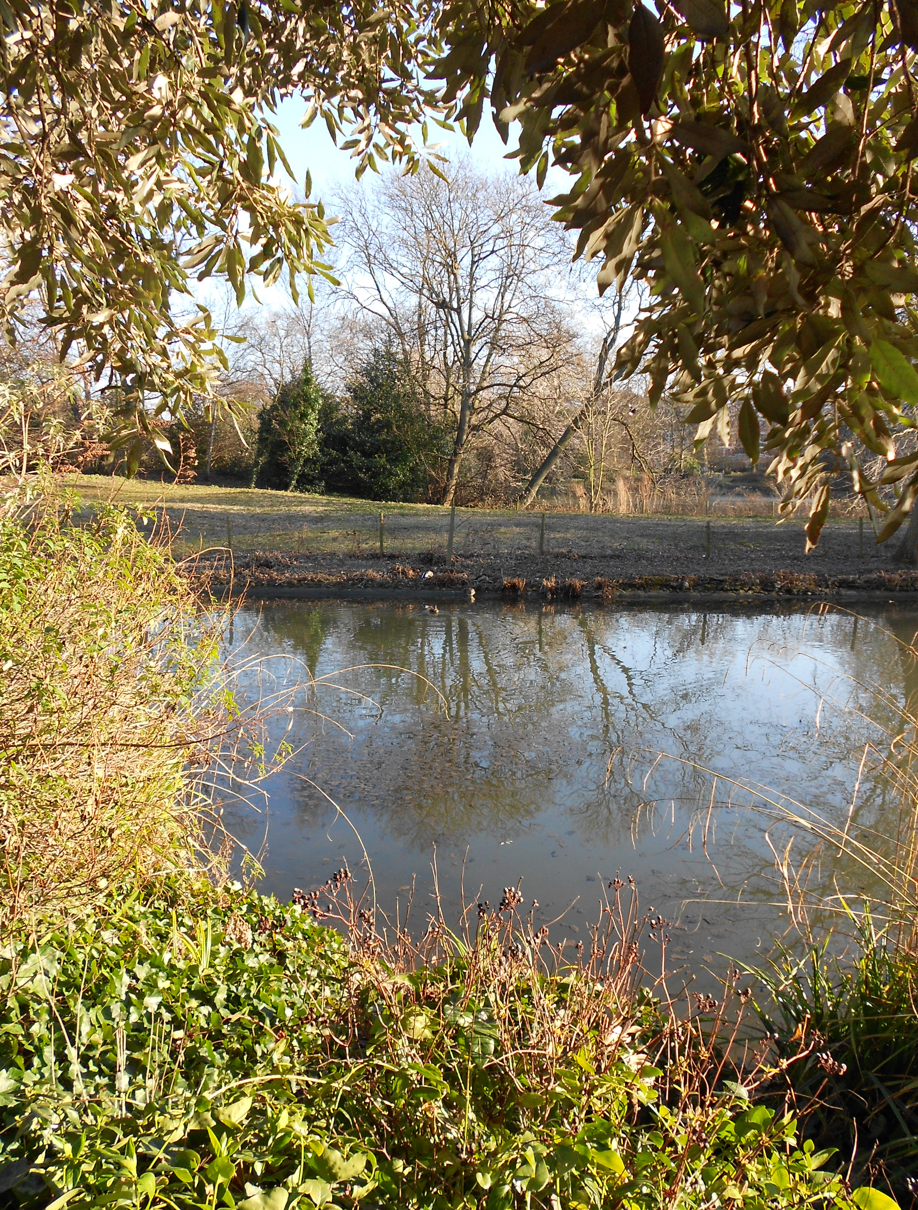 Nikon COOLPIX S2600 review sample image gallery