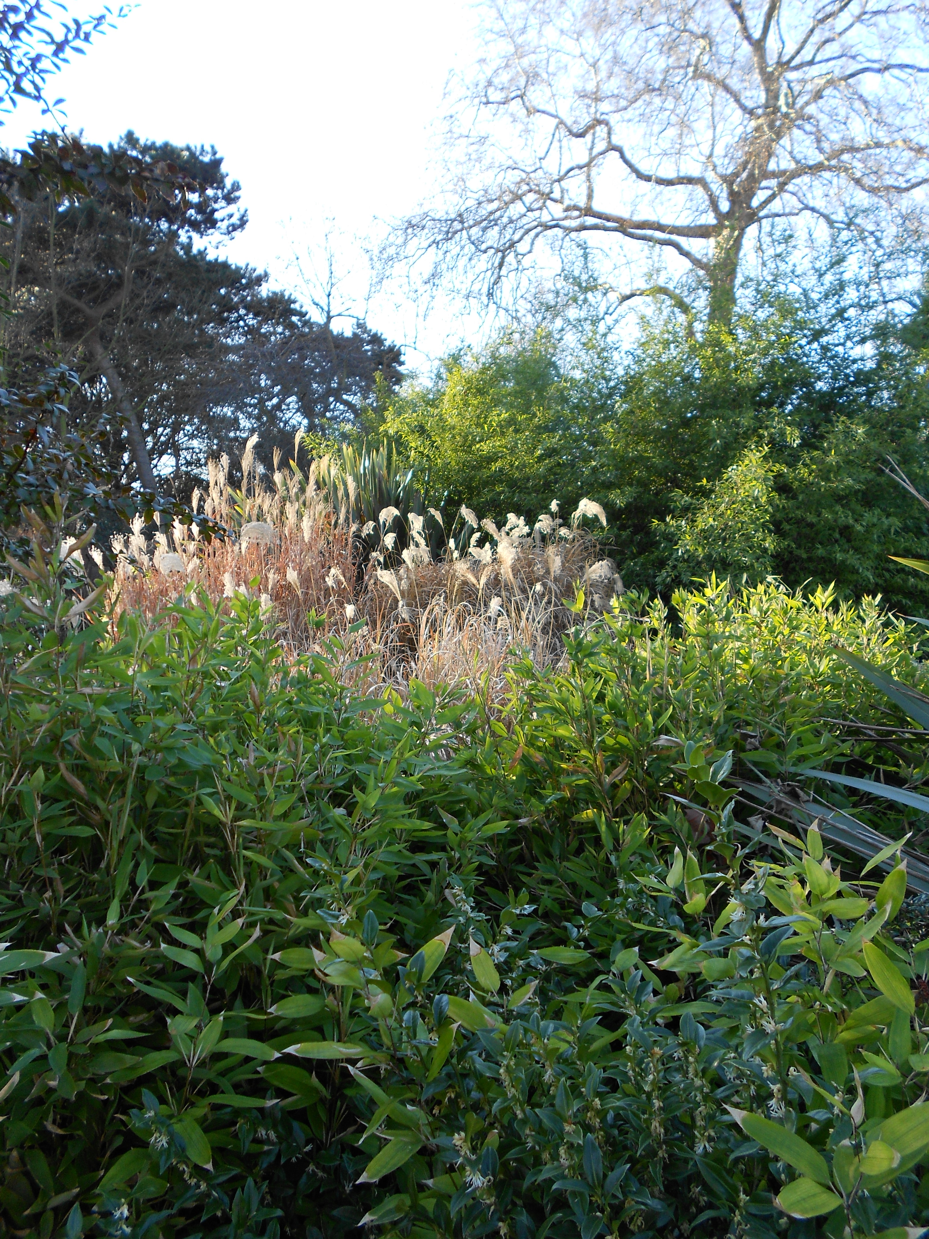Nikon COOLPIX S2600 review sample image gallery