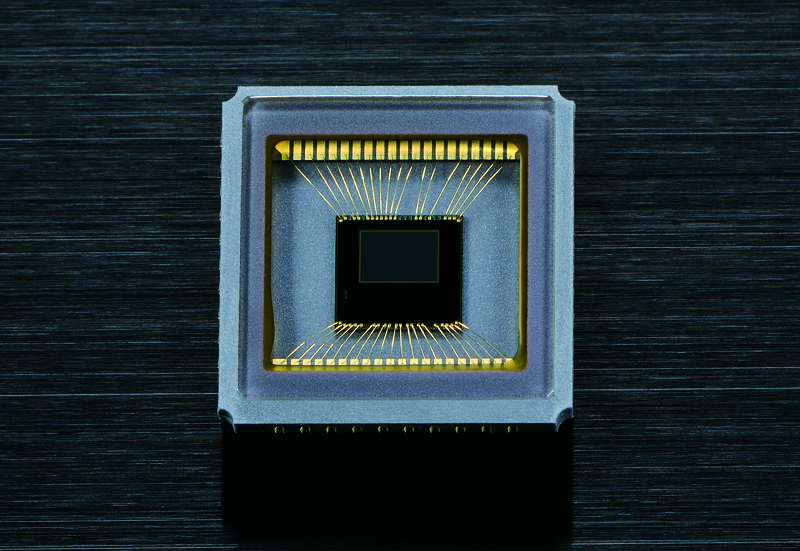 Nikon D4