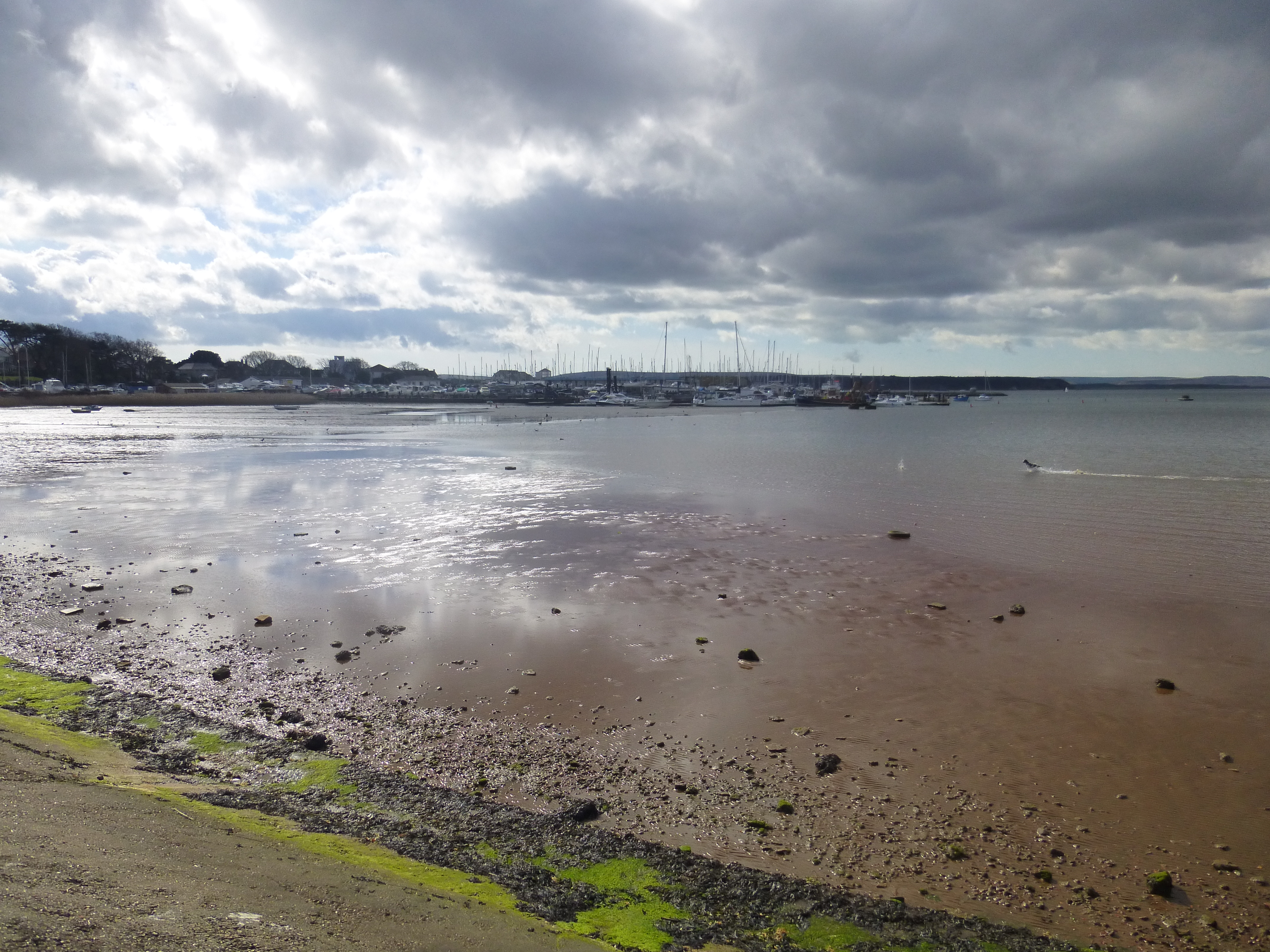 Test images from the Panasonic Lumix DMC-SZ7 Review 