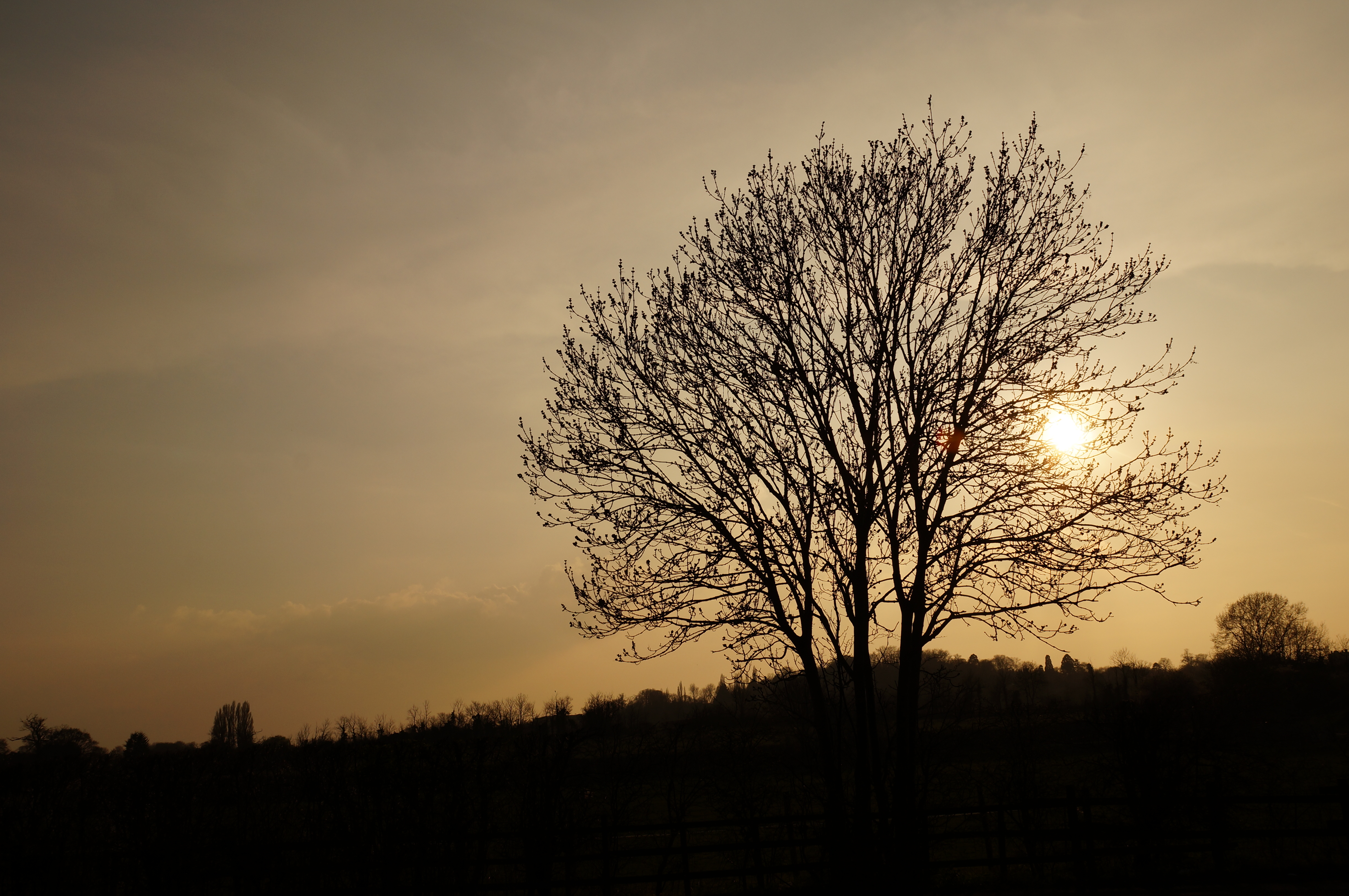 Sony Alpha A57 Sample Image