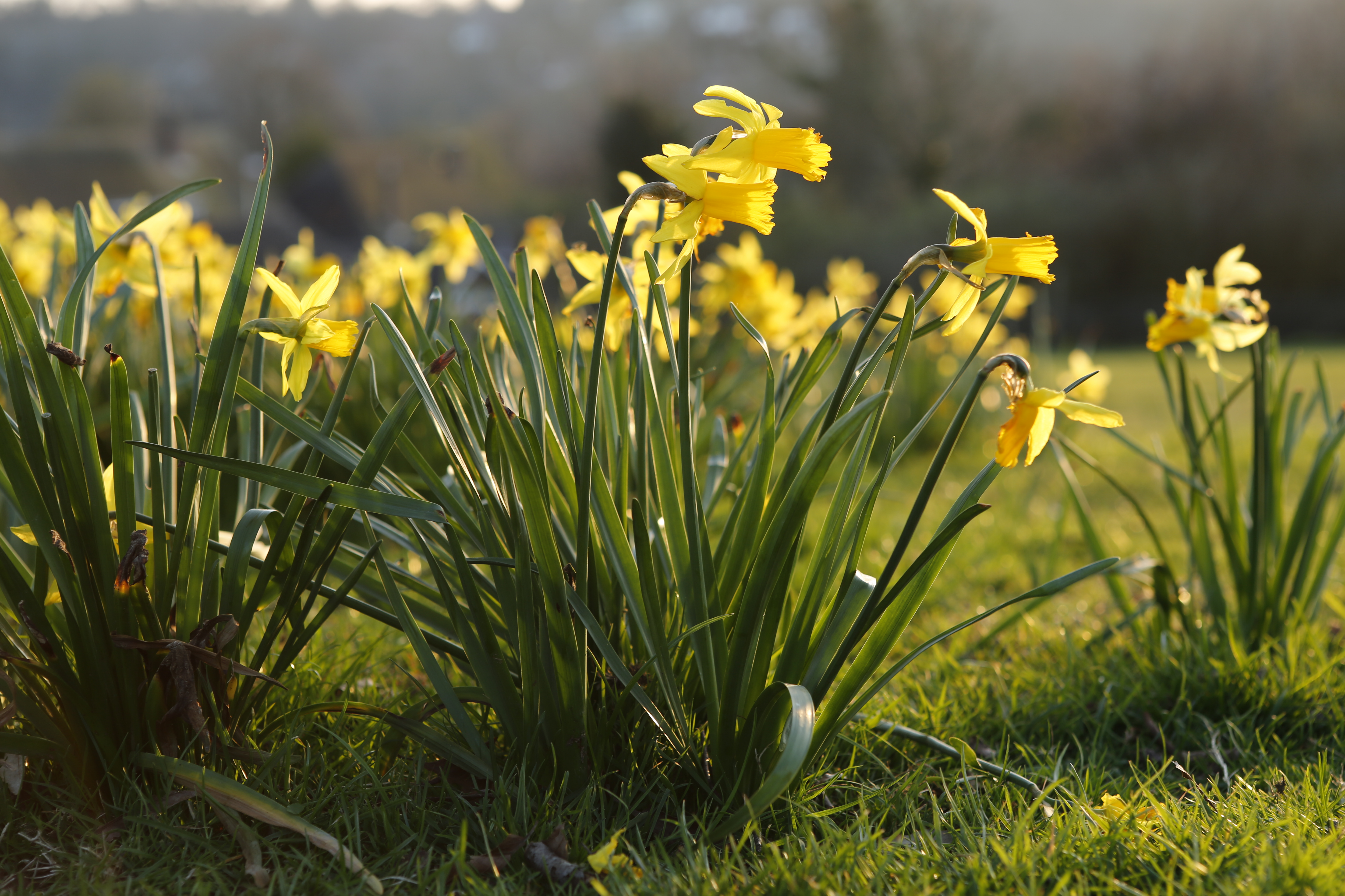 Canon EOs 5D Mk3 sample image