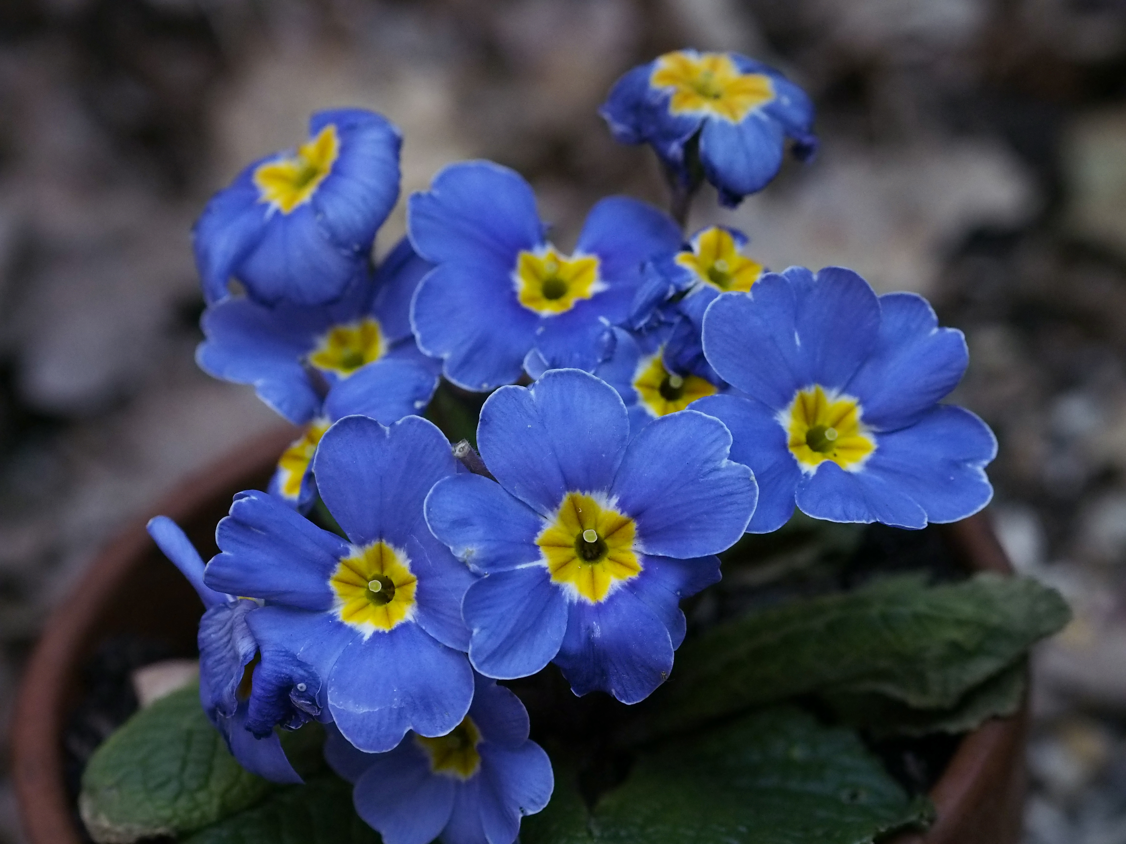Olympus OM-D review sample image