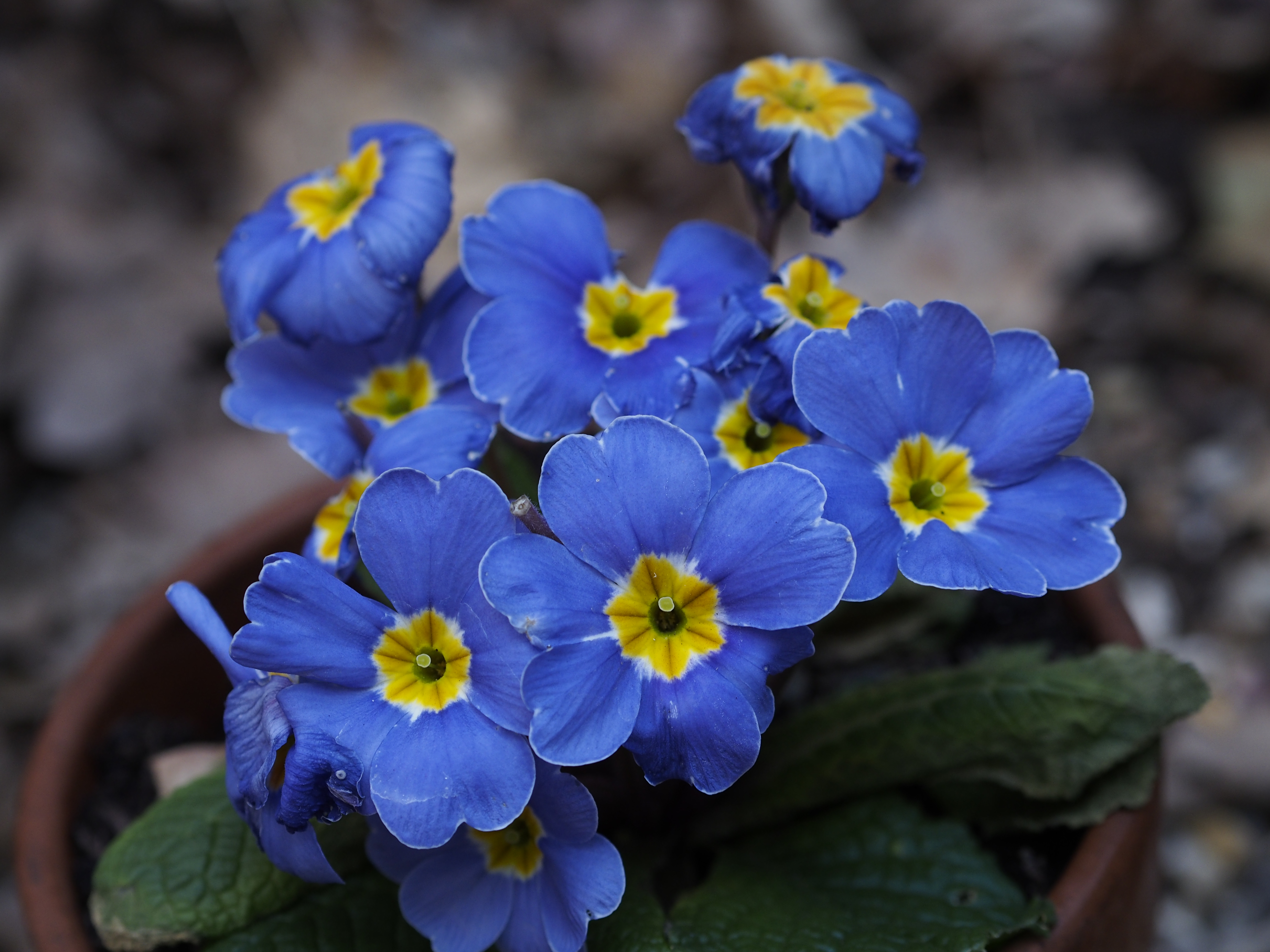 Olympus OM-D review sample image