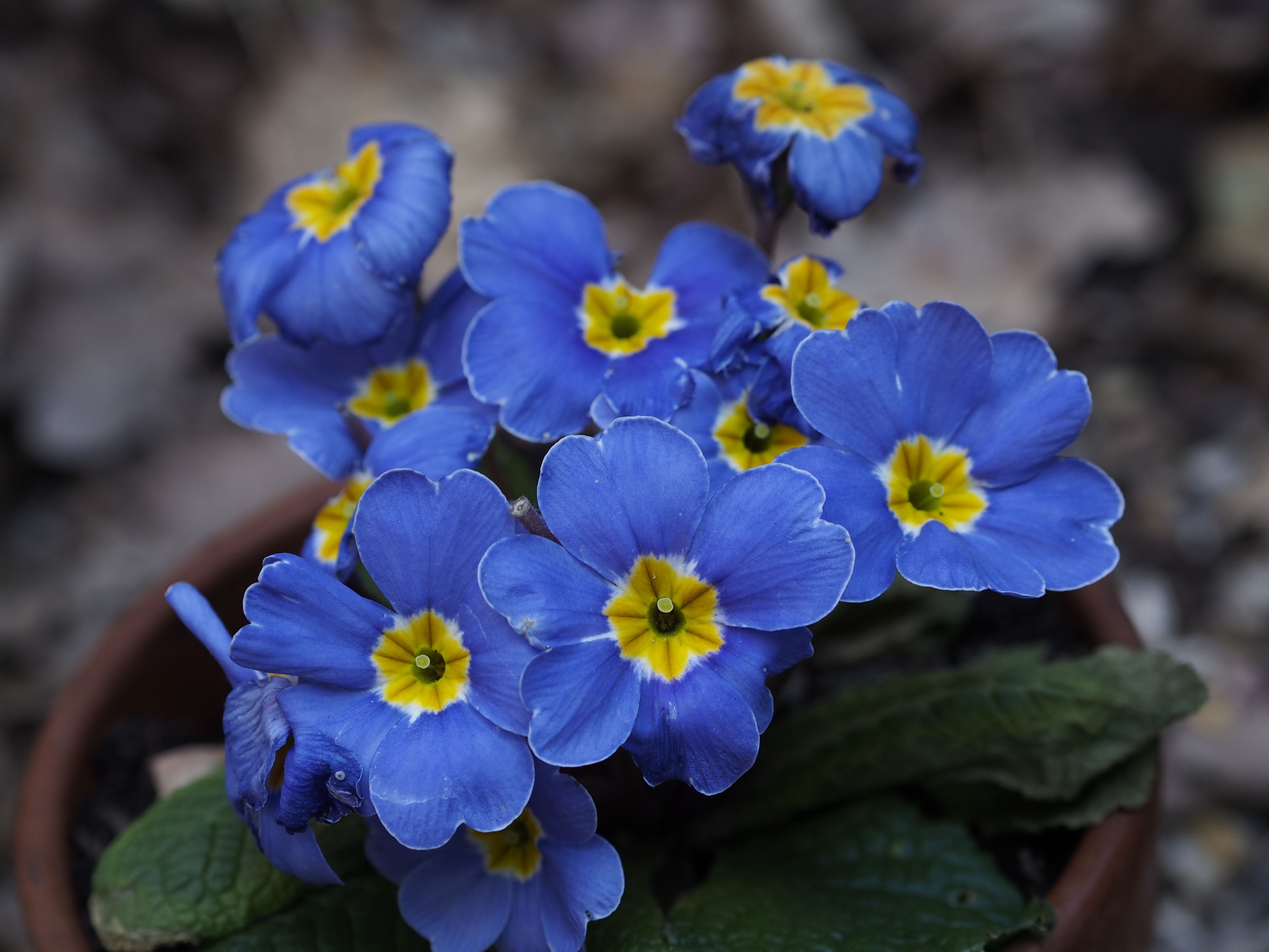 Olympus OM-D review sample image
