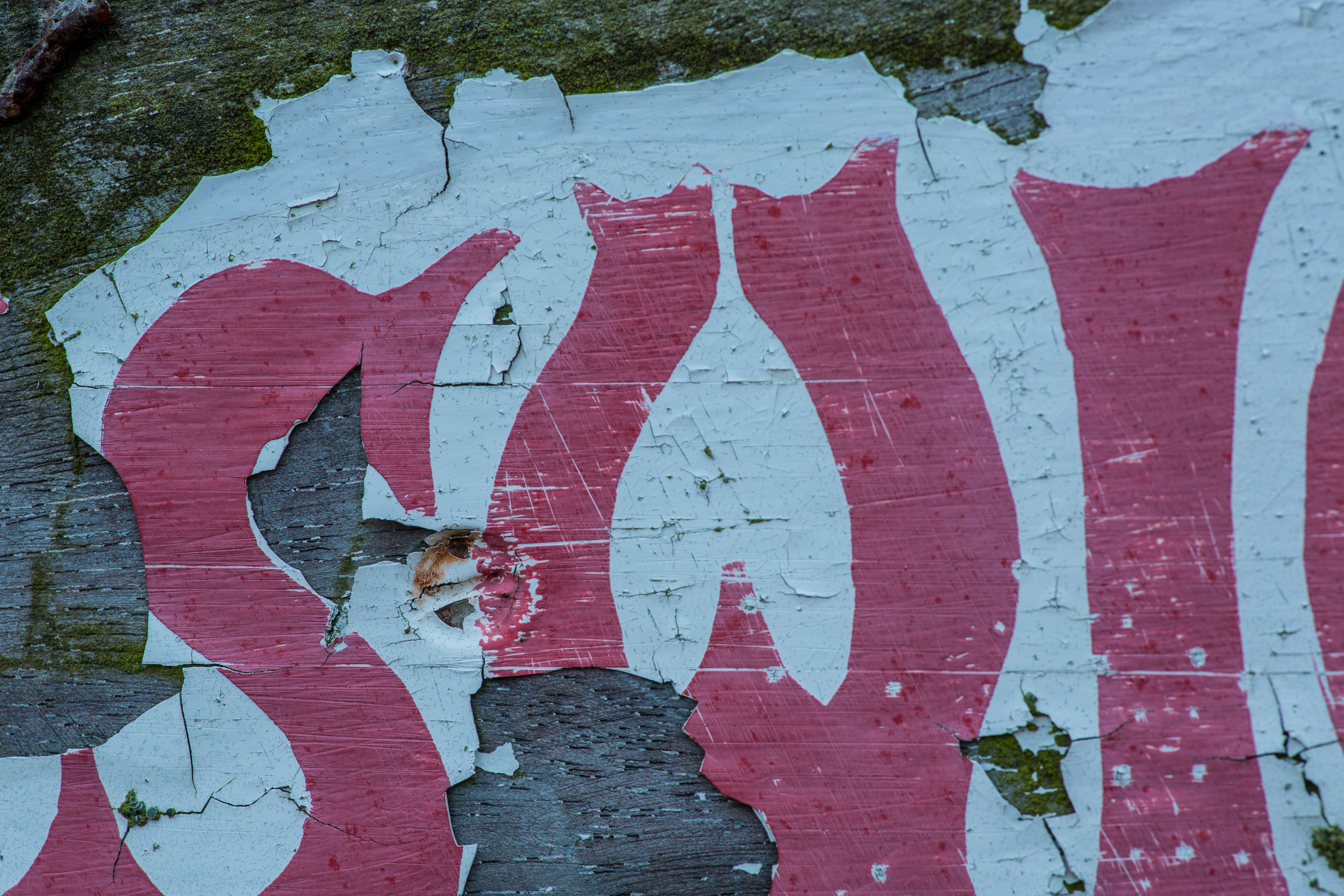 Canon EOS 5D MkIII review sample image