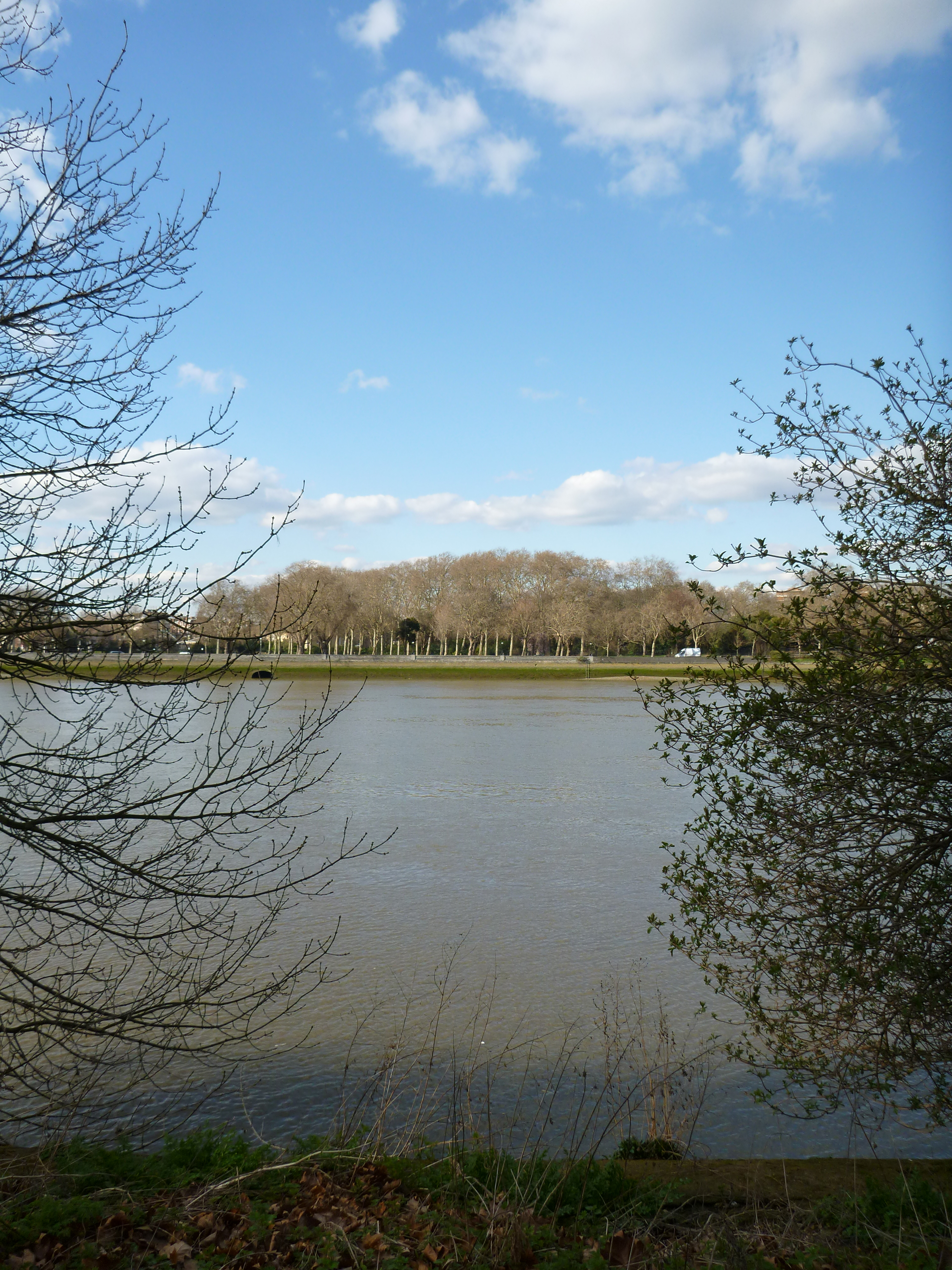 P1000031.JPG