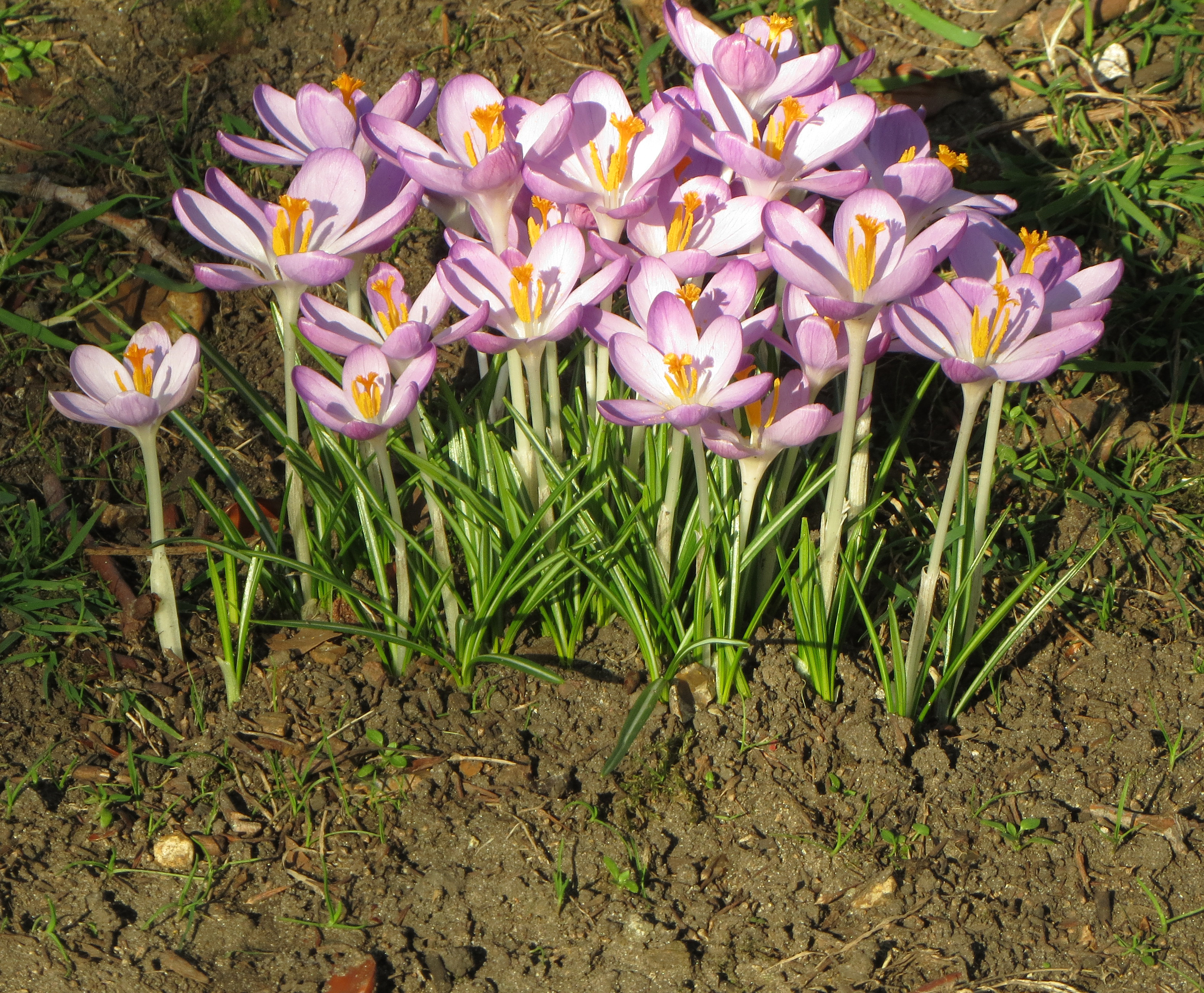 IMG_0080_1.jpg