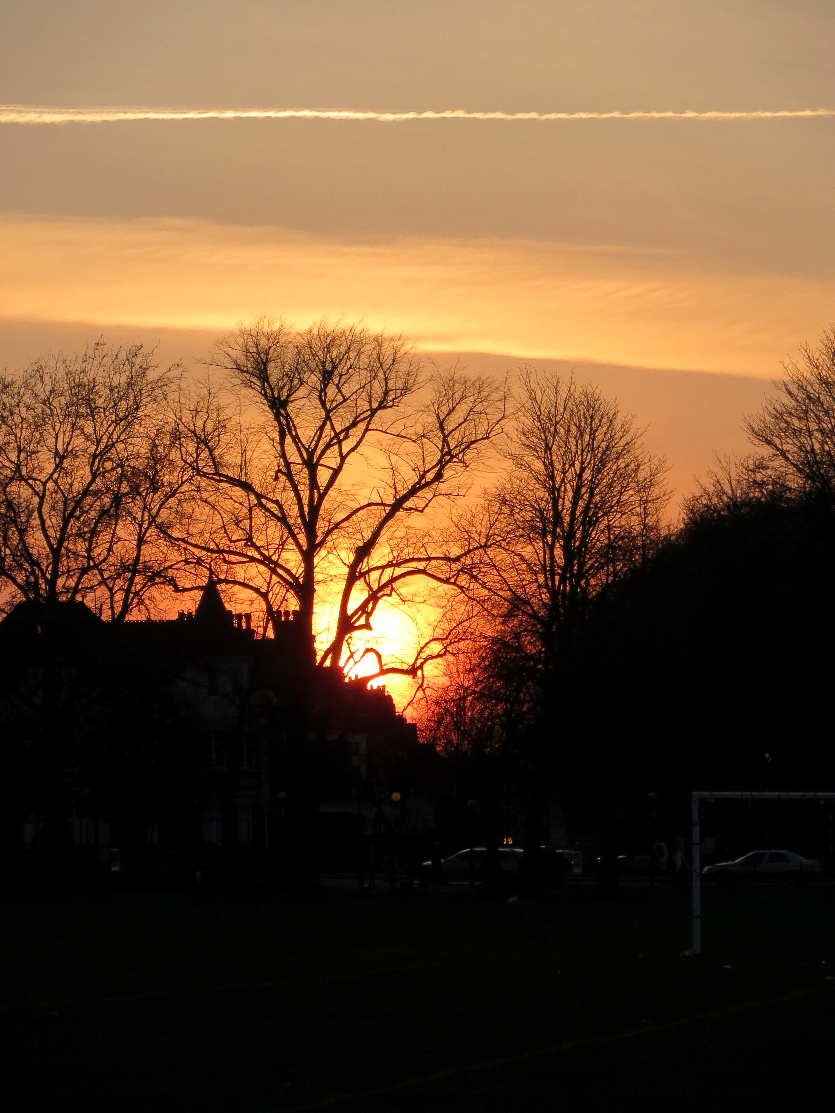 IMG_0094_1.jpg