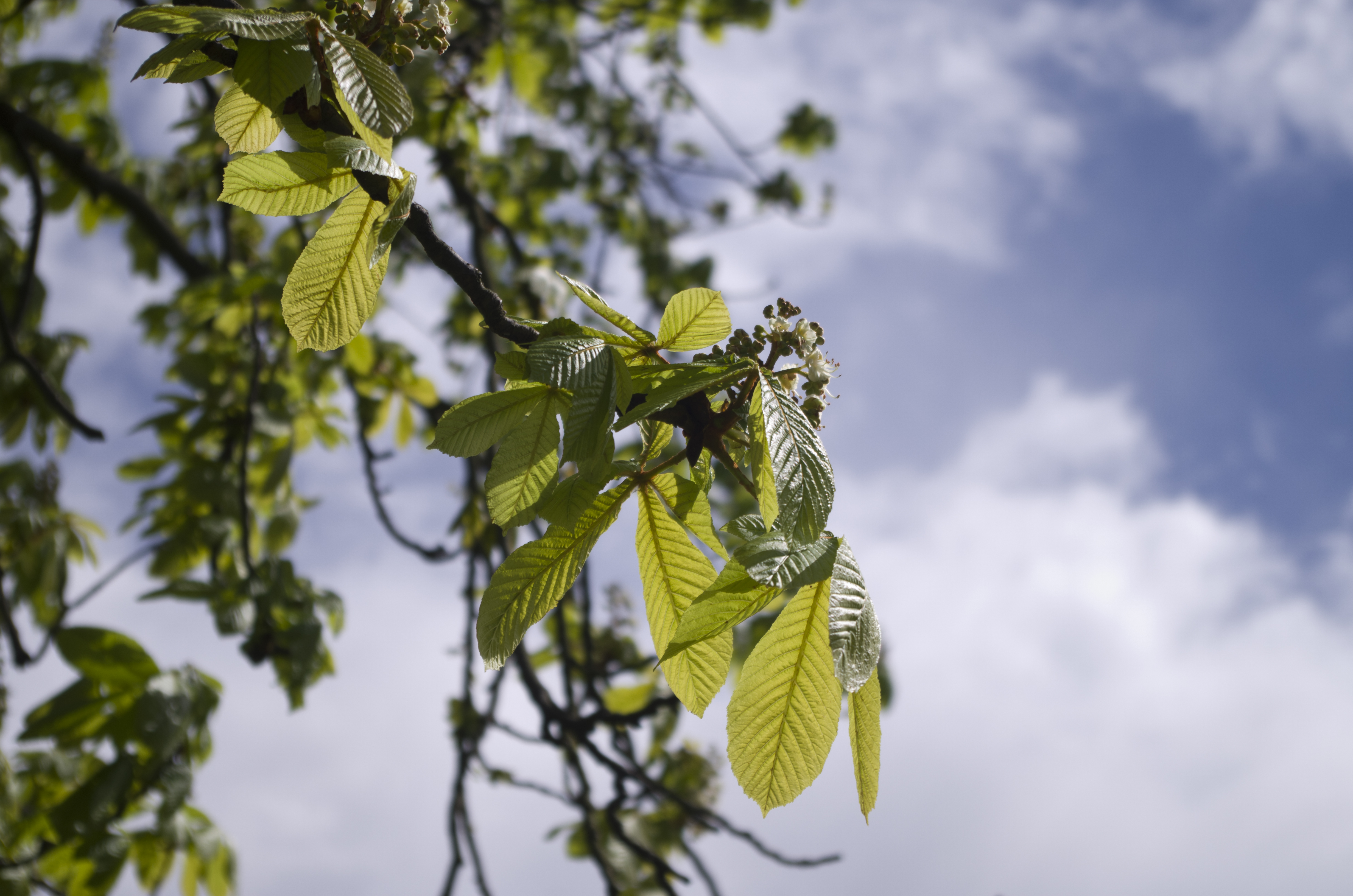 Pentax K-01 review sample image