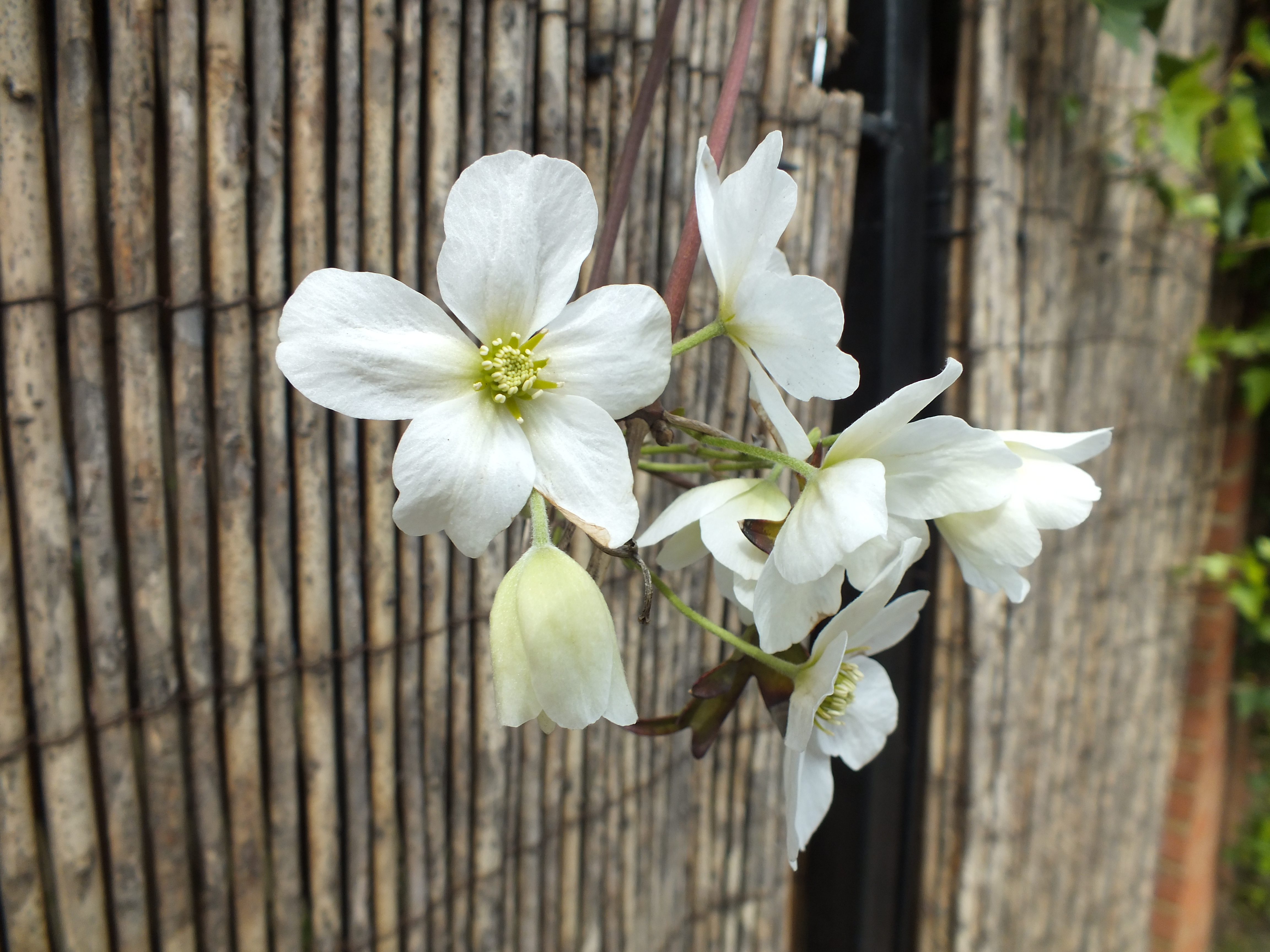 Fujifilm FinePix HS30 review sample image
