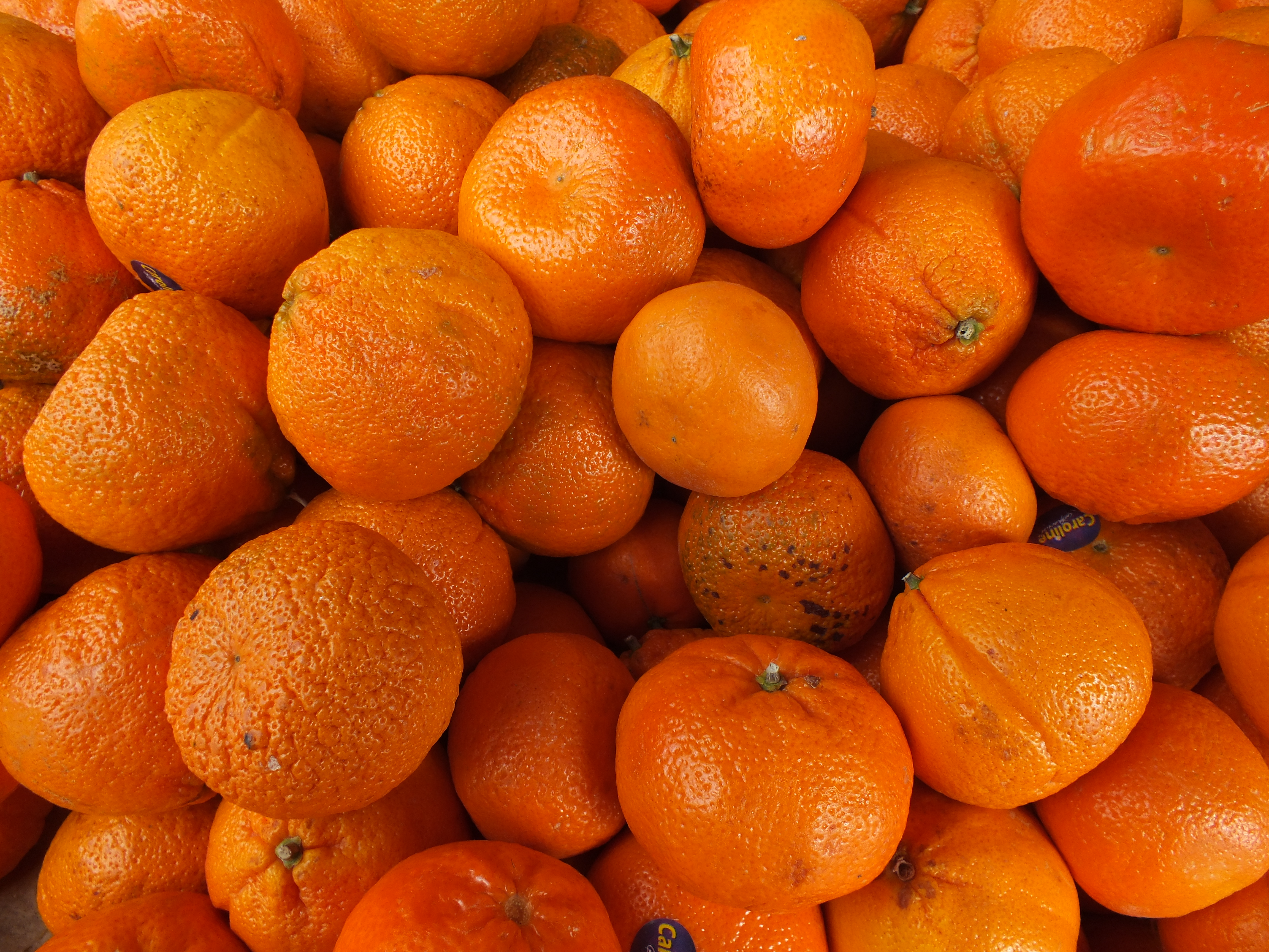 Fujifilm FinePix HS30 review sample image