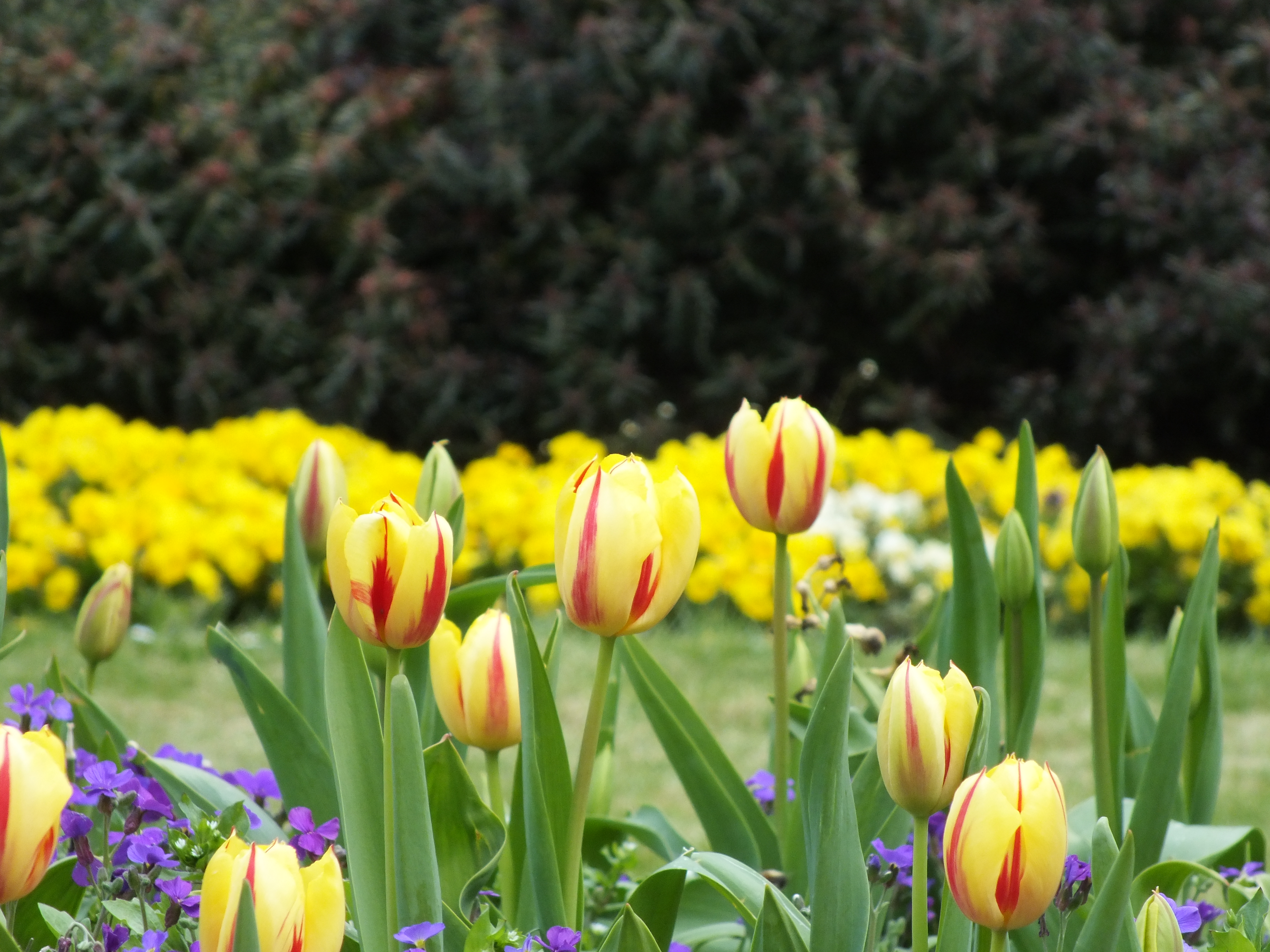 Fujifilm FinePix HS30 review sample image