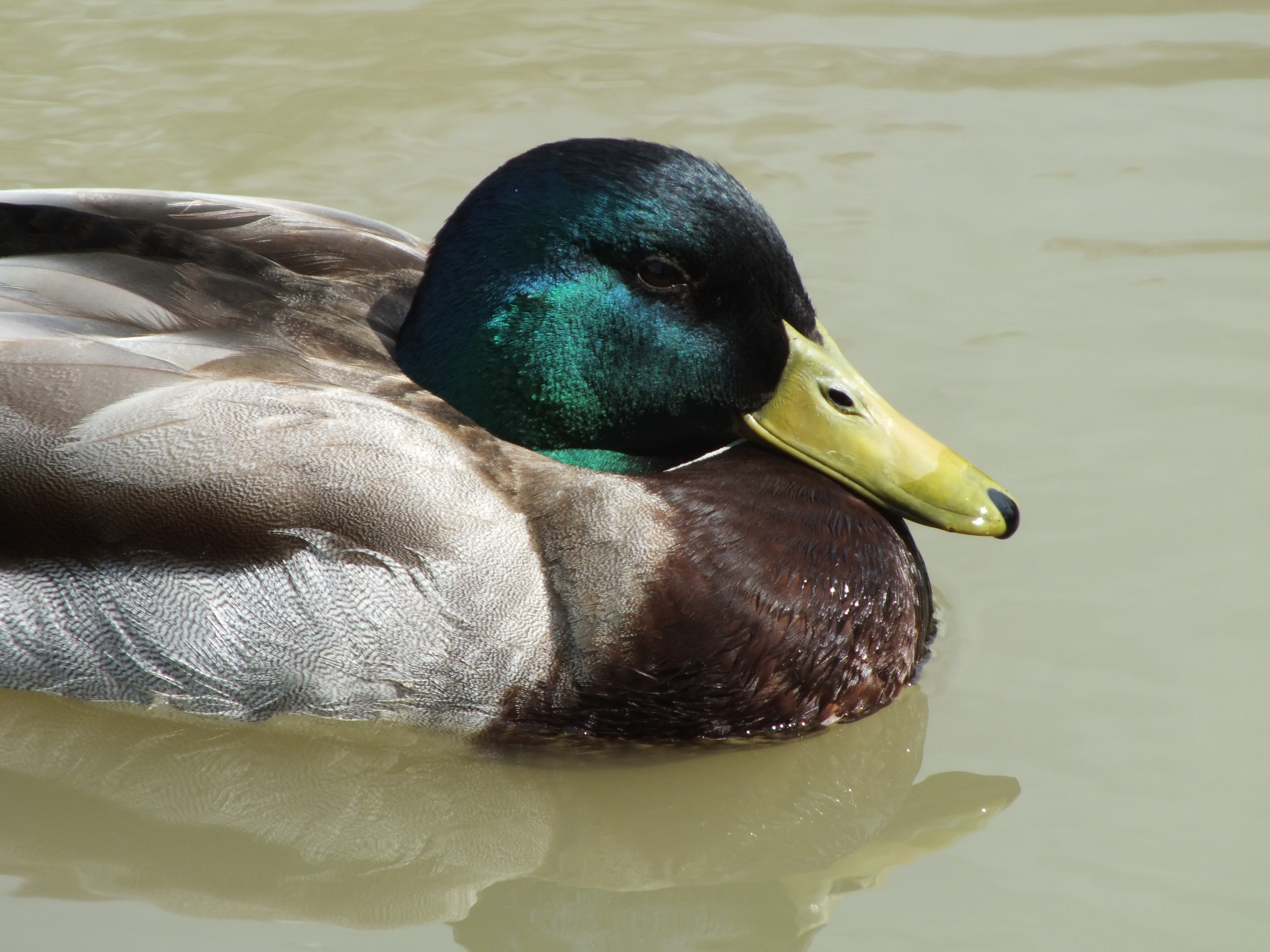 Fujifilm FinePix HS30 review sample image