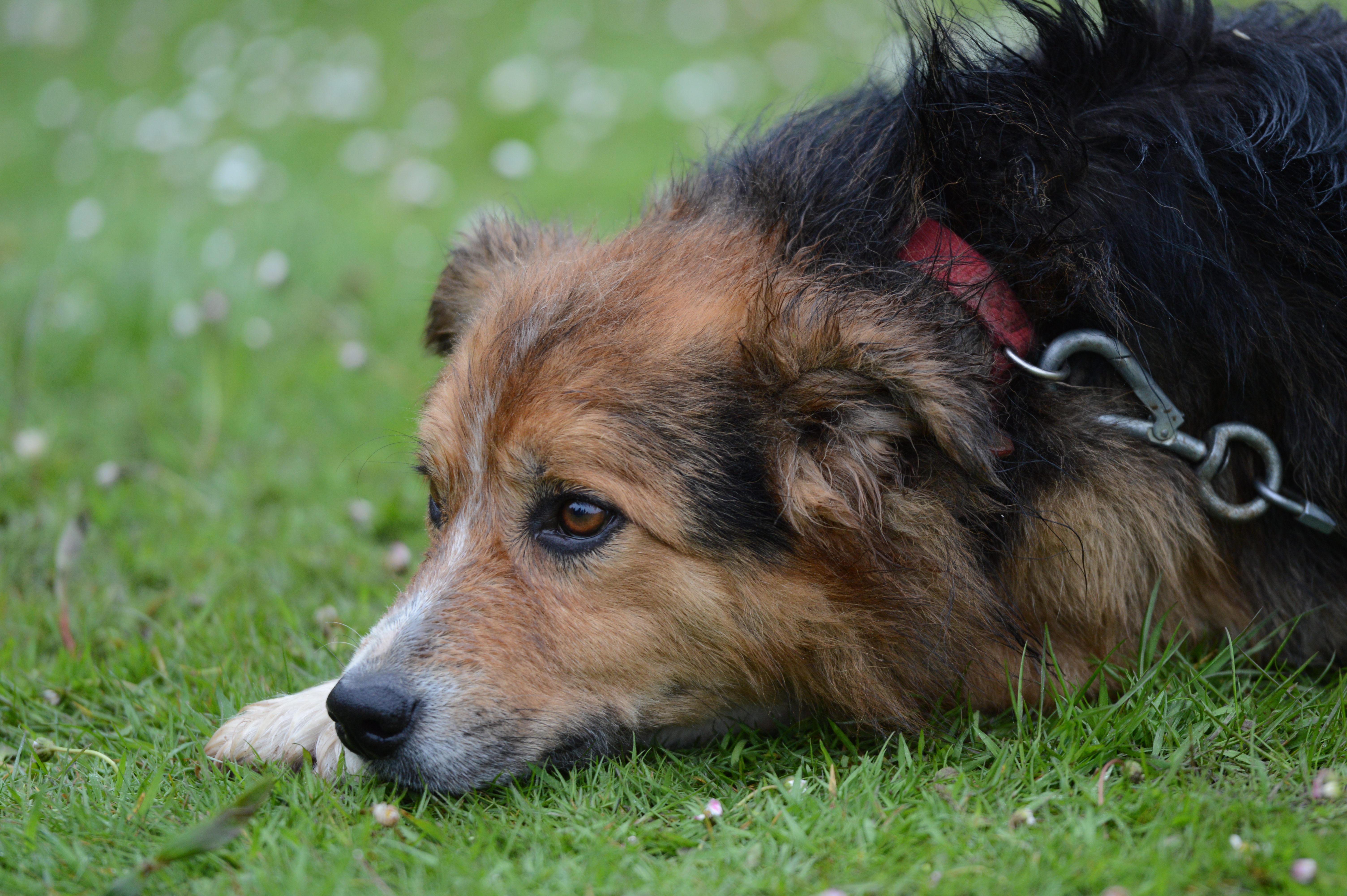 Nikon D3200 review sample images