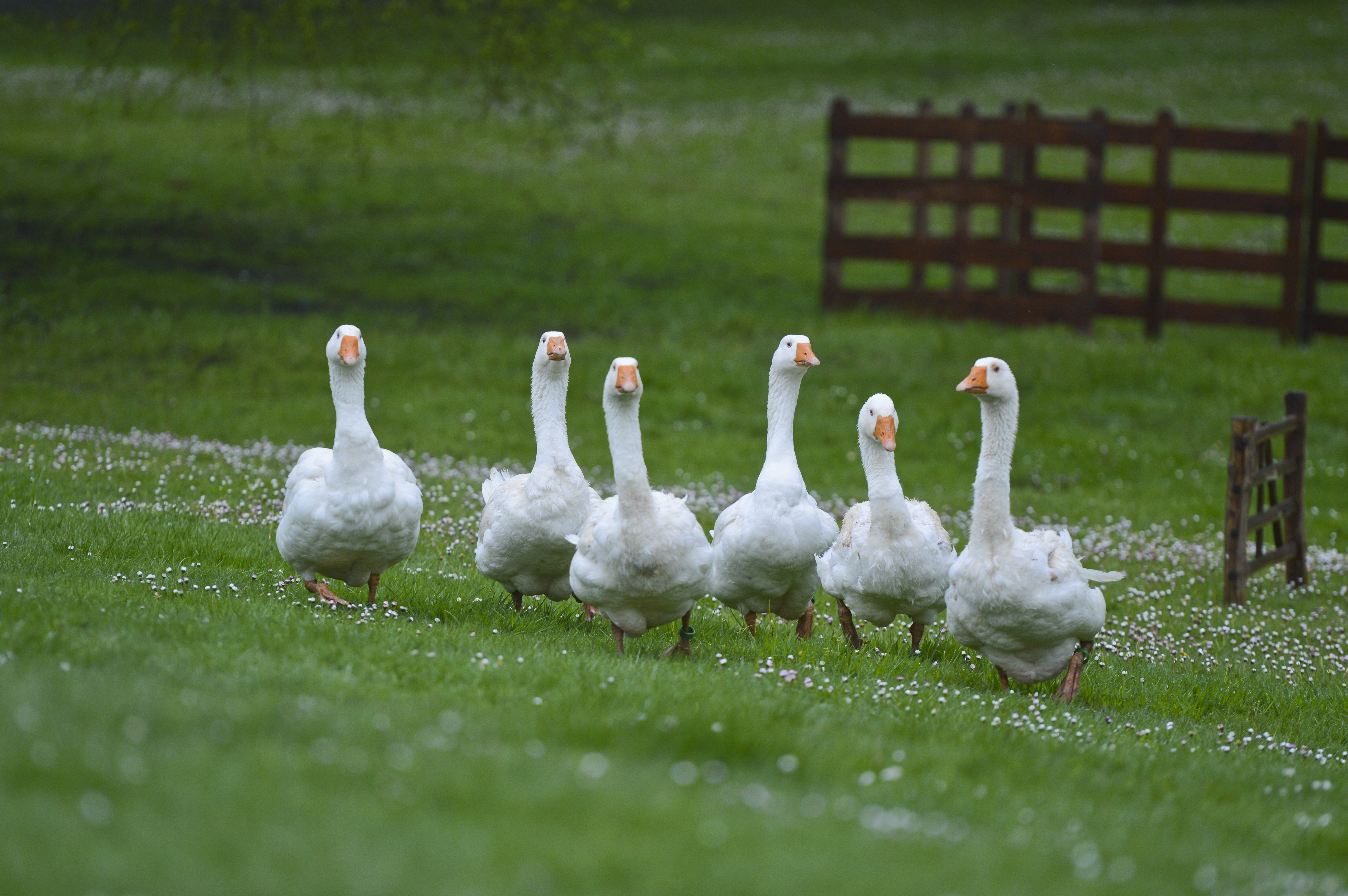 Nikon D3200 review sample images