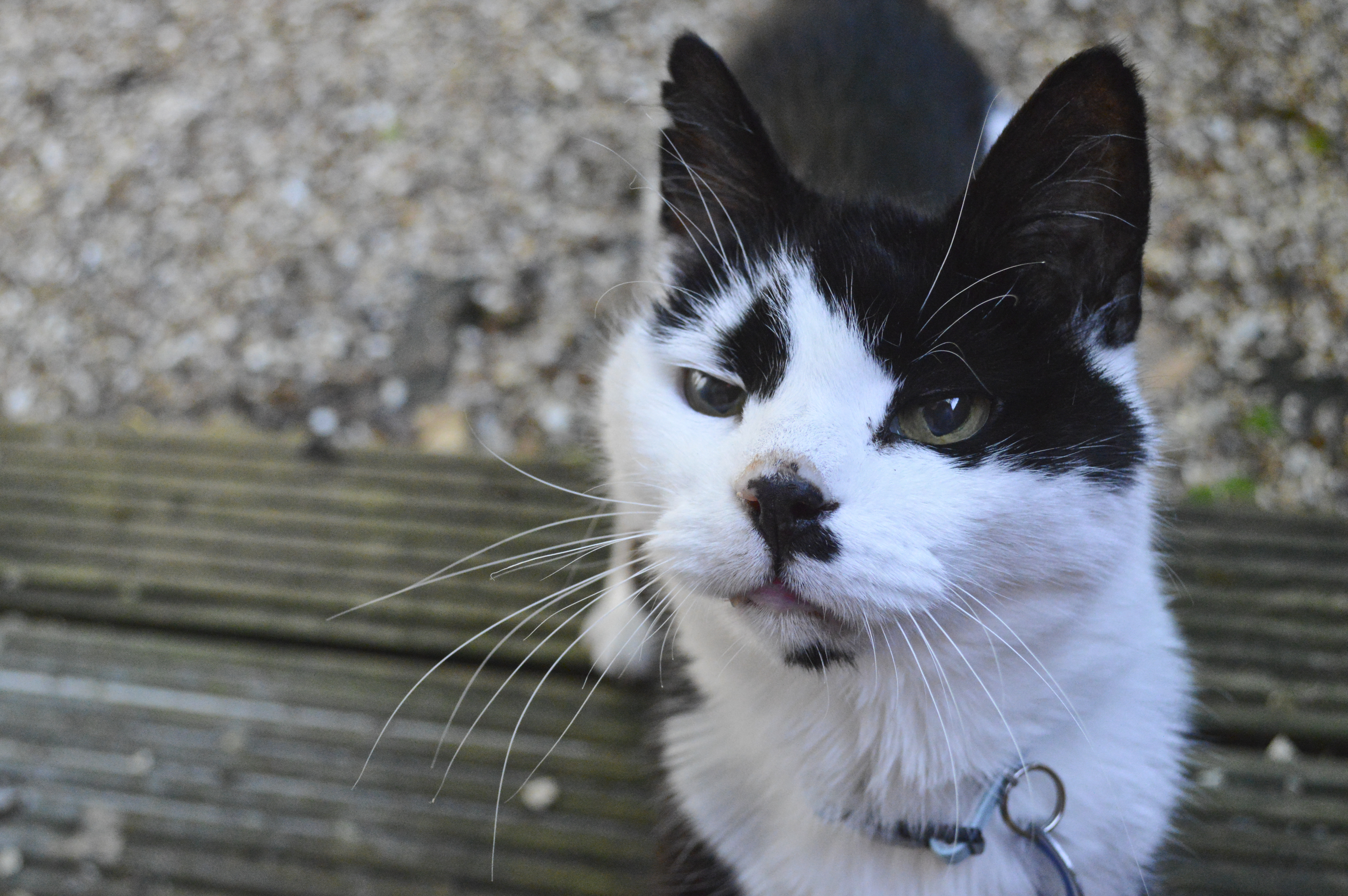 Nikon D3200 review sample images