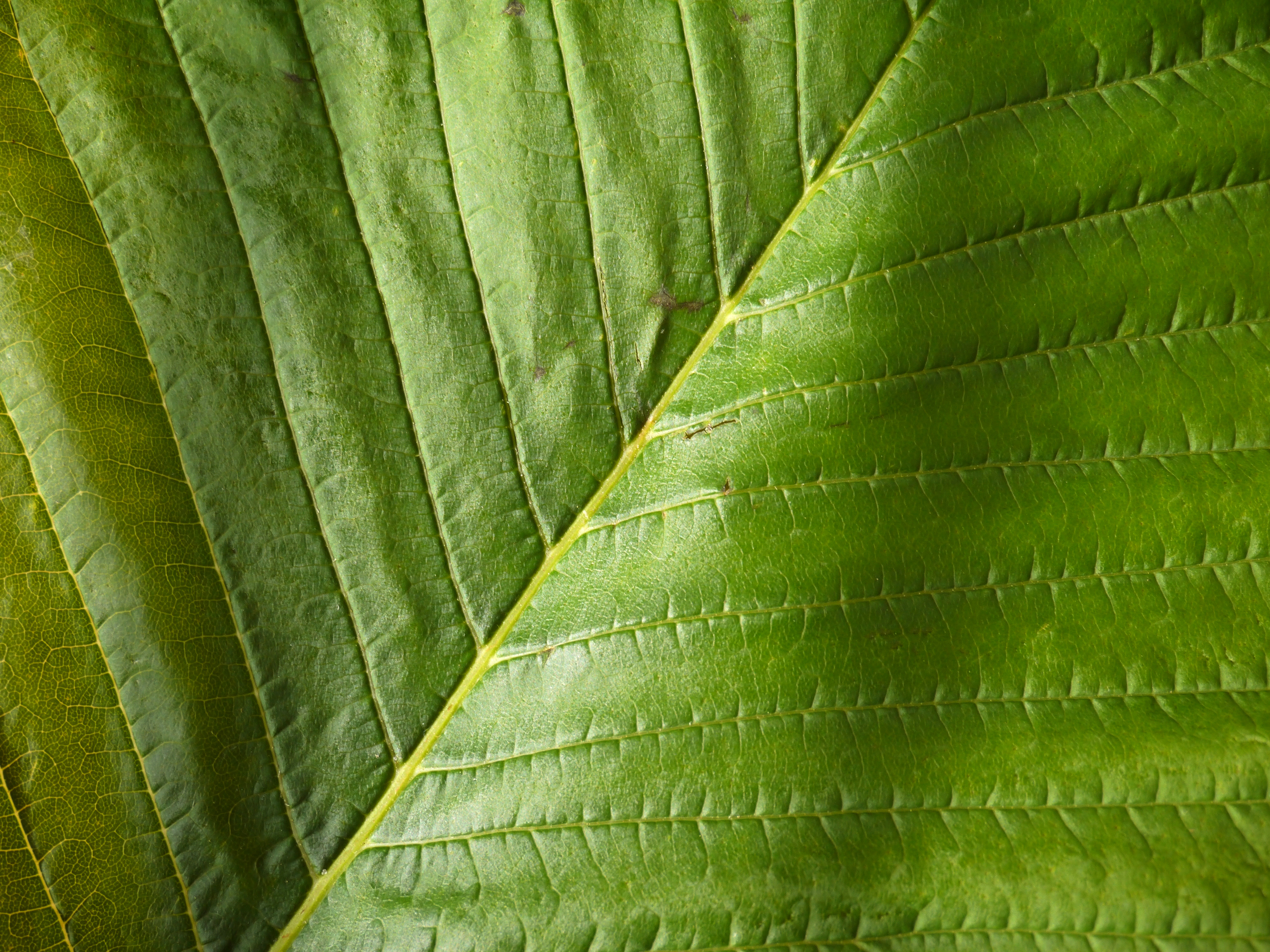 Panasonic GF5 review sample image