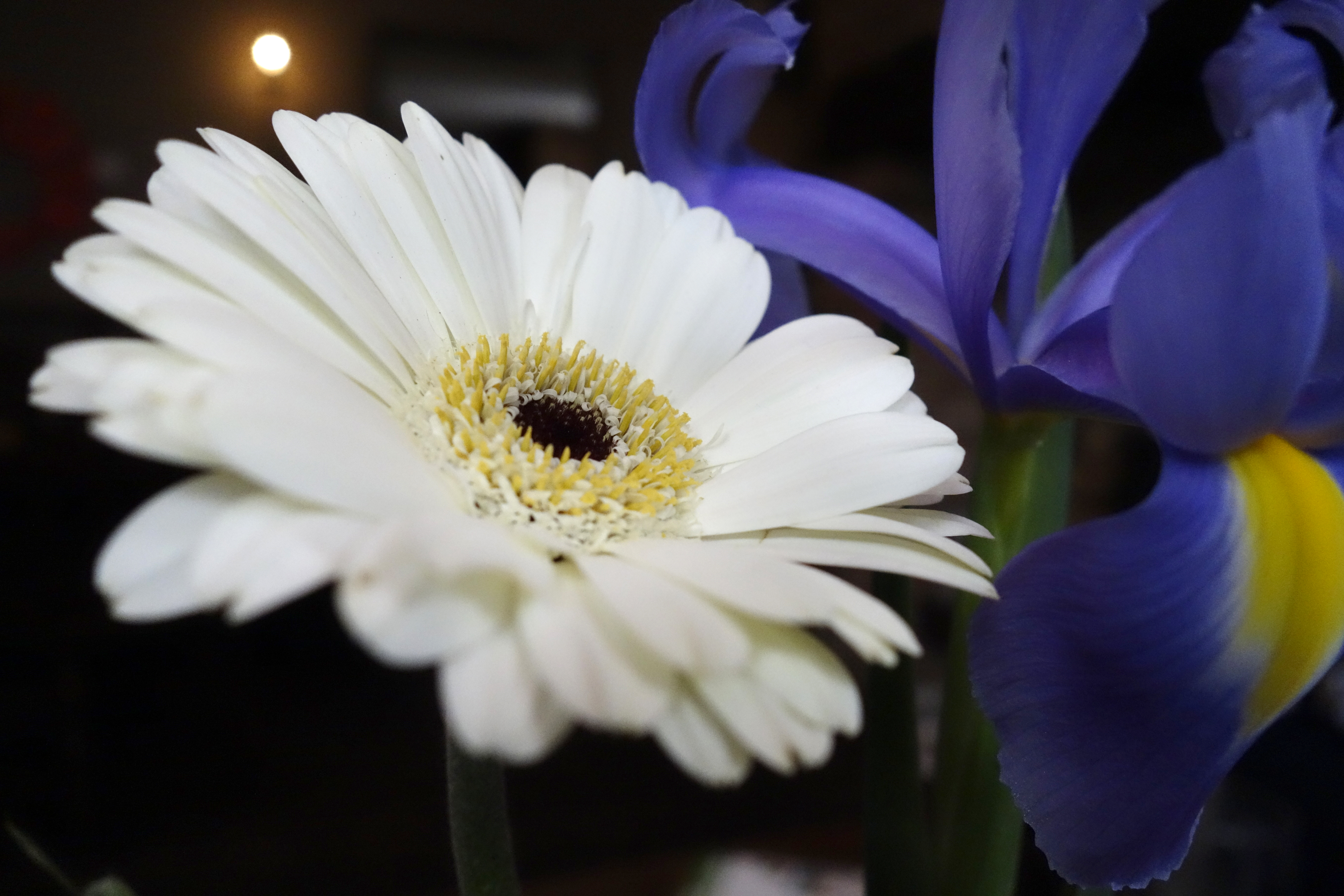 Sony Cyber-shot RX100 review sample image